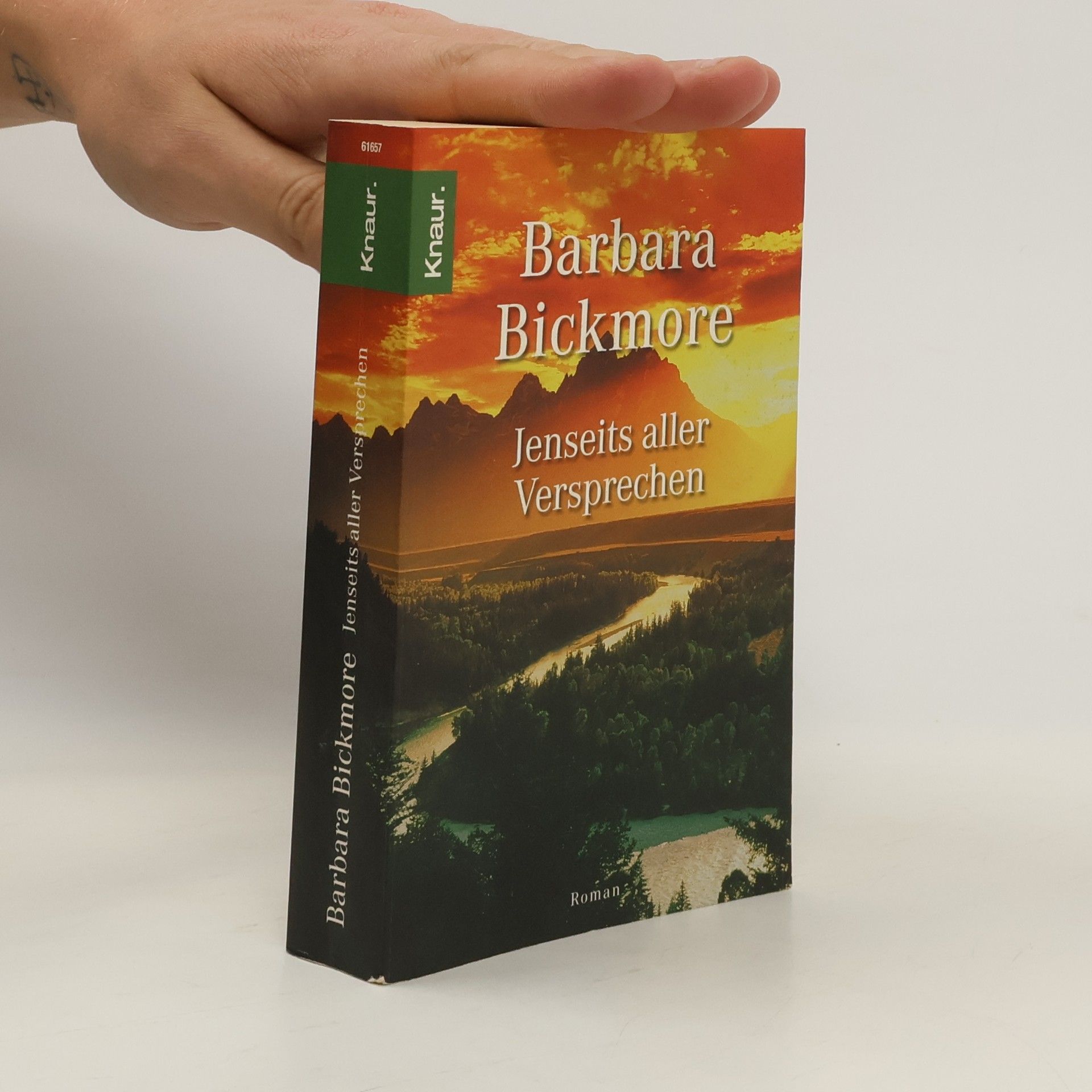 Barbara Bickmore Jenseits aller Versprechen