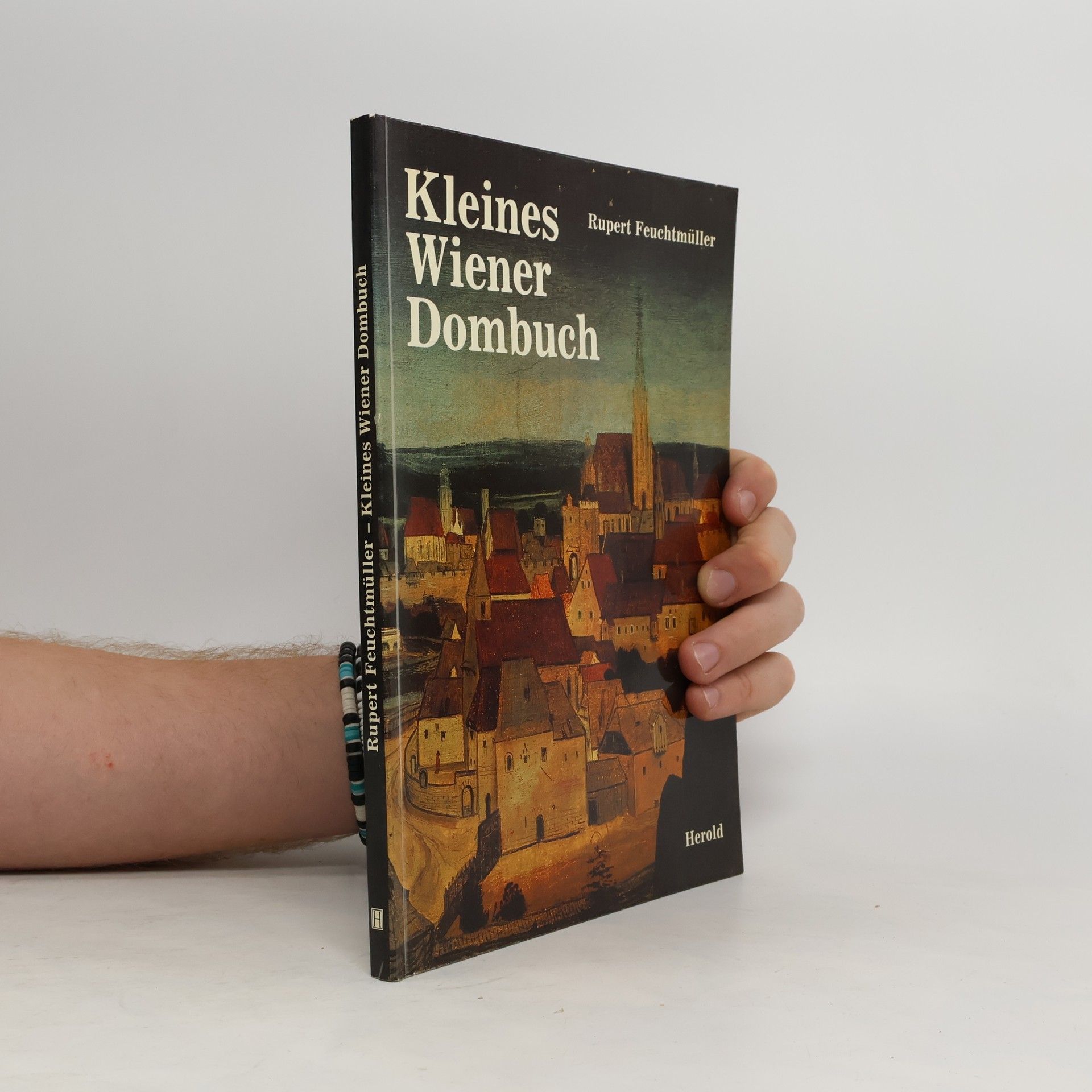 Rupert Feuchtmüller Kleines Wiener Dombuch