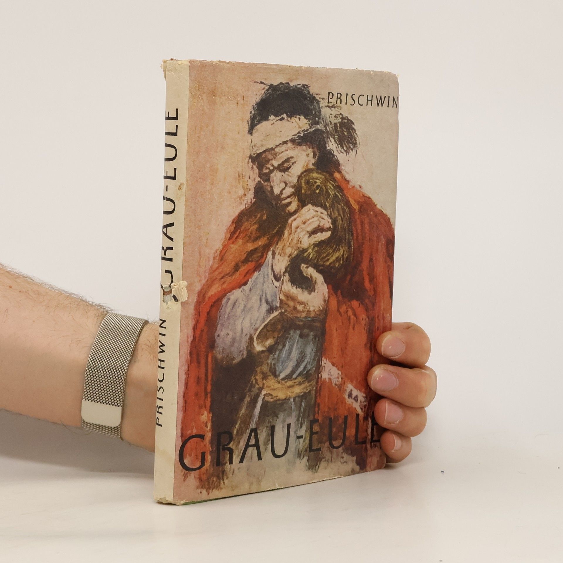 Michail Prischwin Grau-Eule