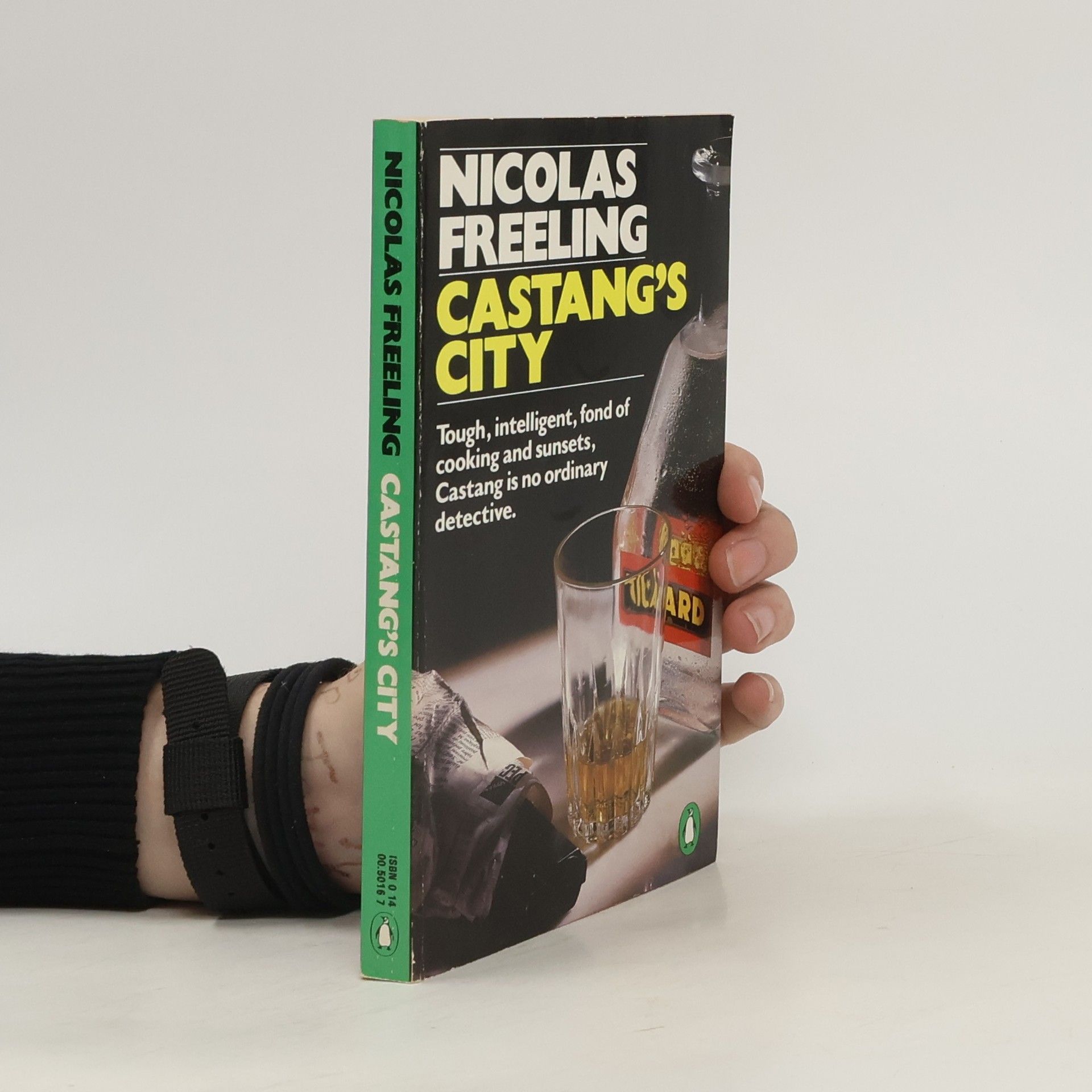 Nicolas Freeling Castang's City