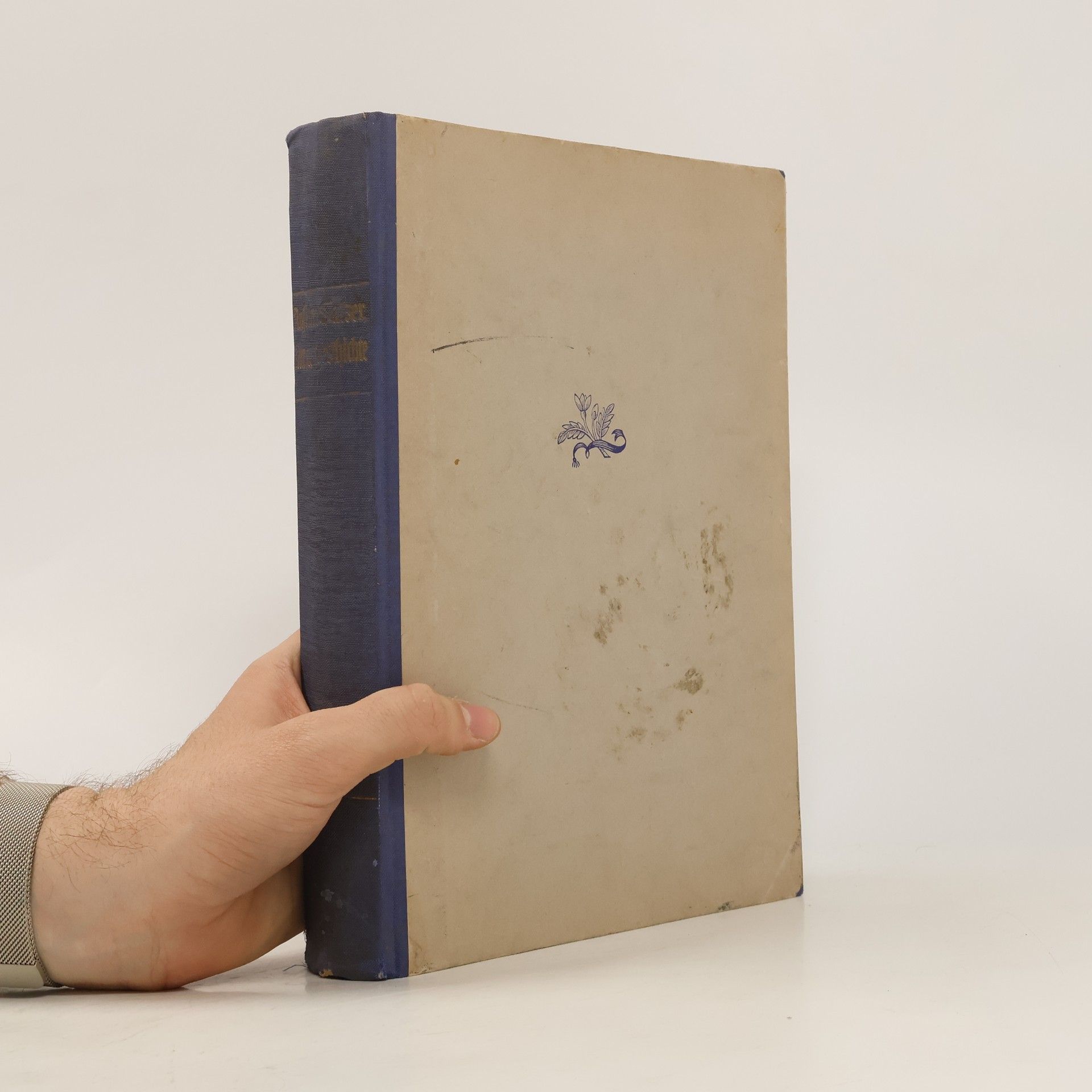 Anselm Salzer Illustrierte Geschichte der Deutschen Literatur. Zweiter Band