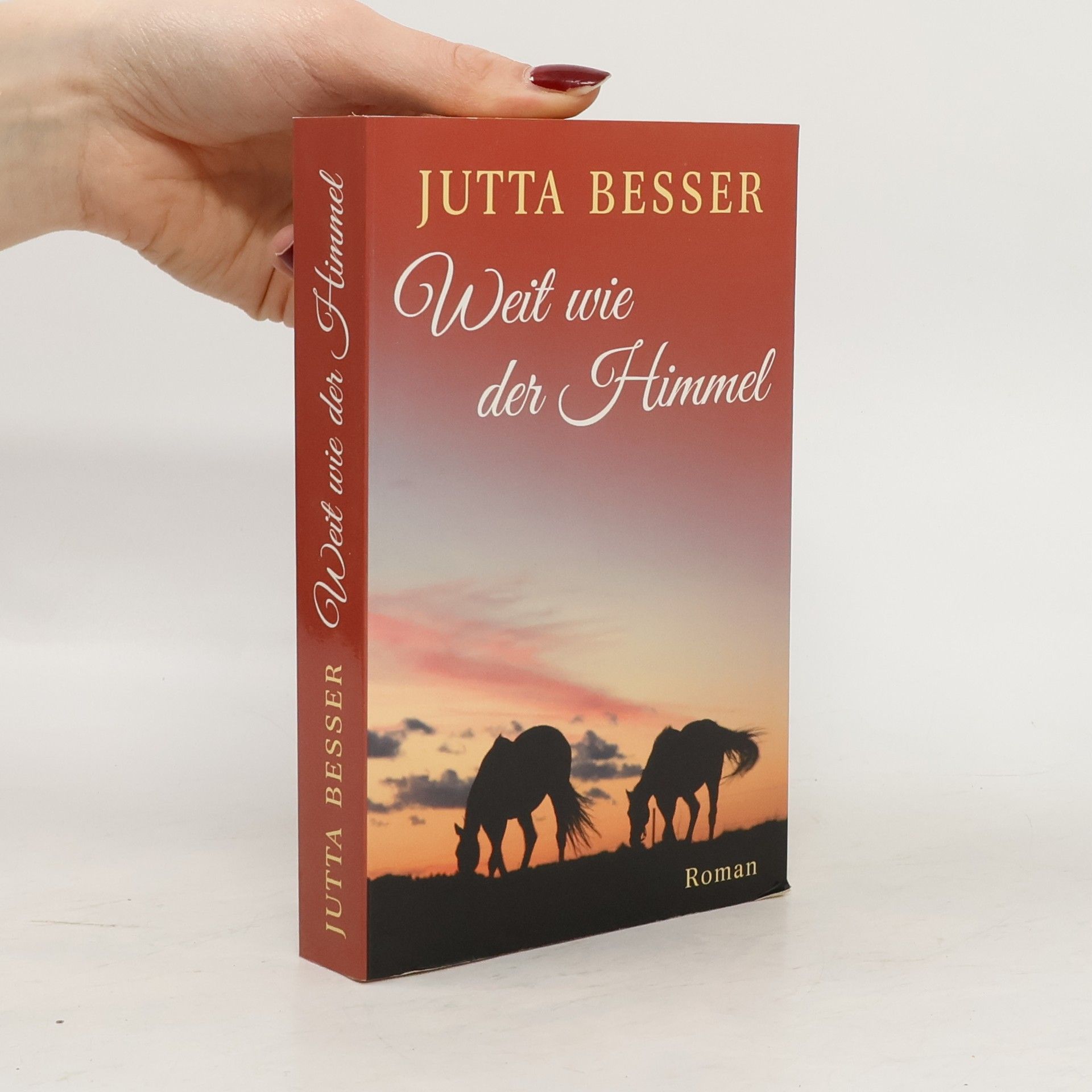 Jutta Besser Weit wie der Himmel