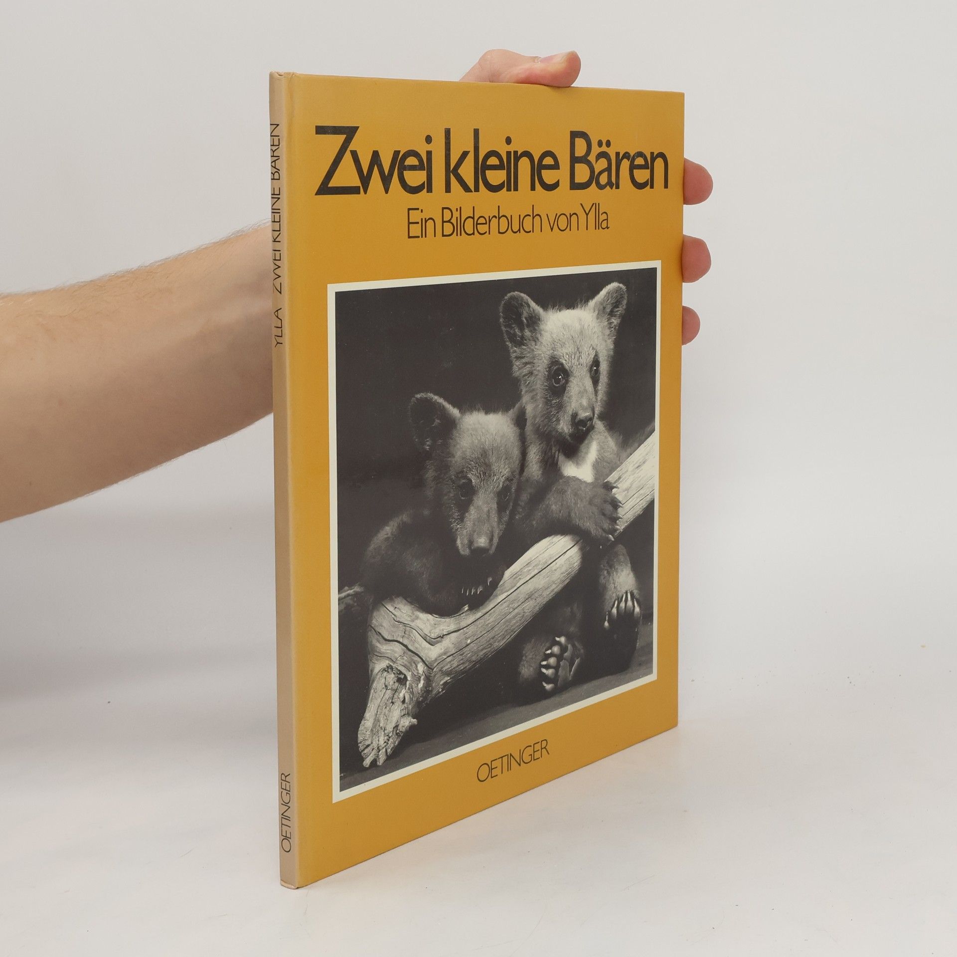 Collectif d'auteurs Zwei kleine Bären