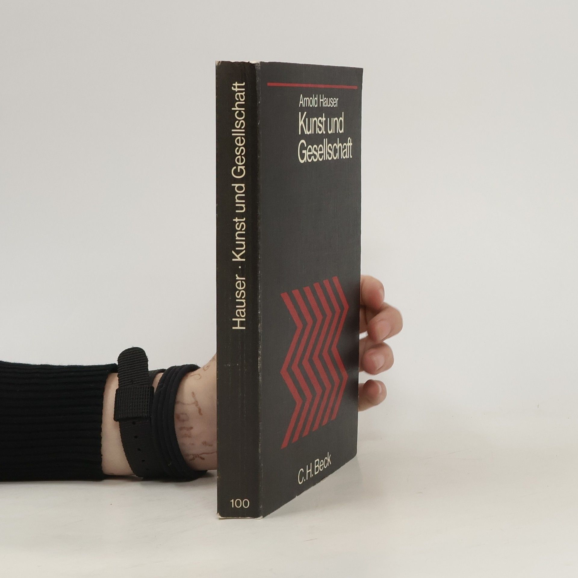 Arnold Hauser Kunst und Gesellschaft