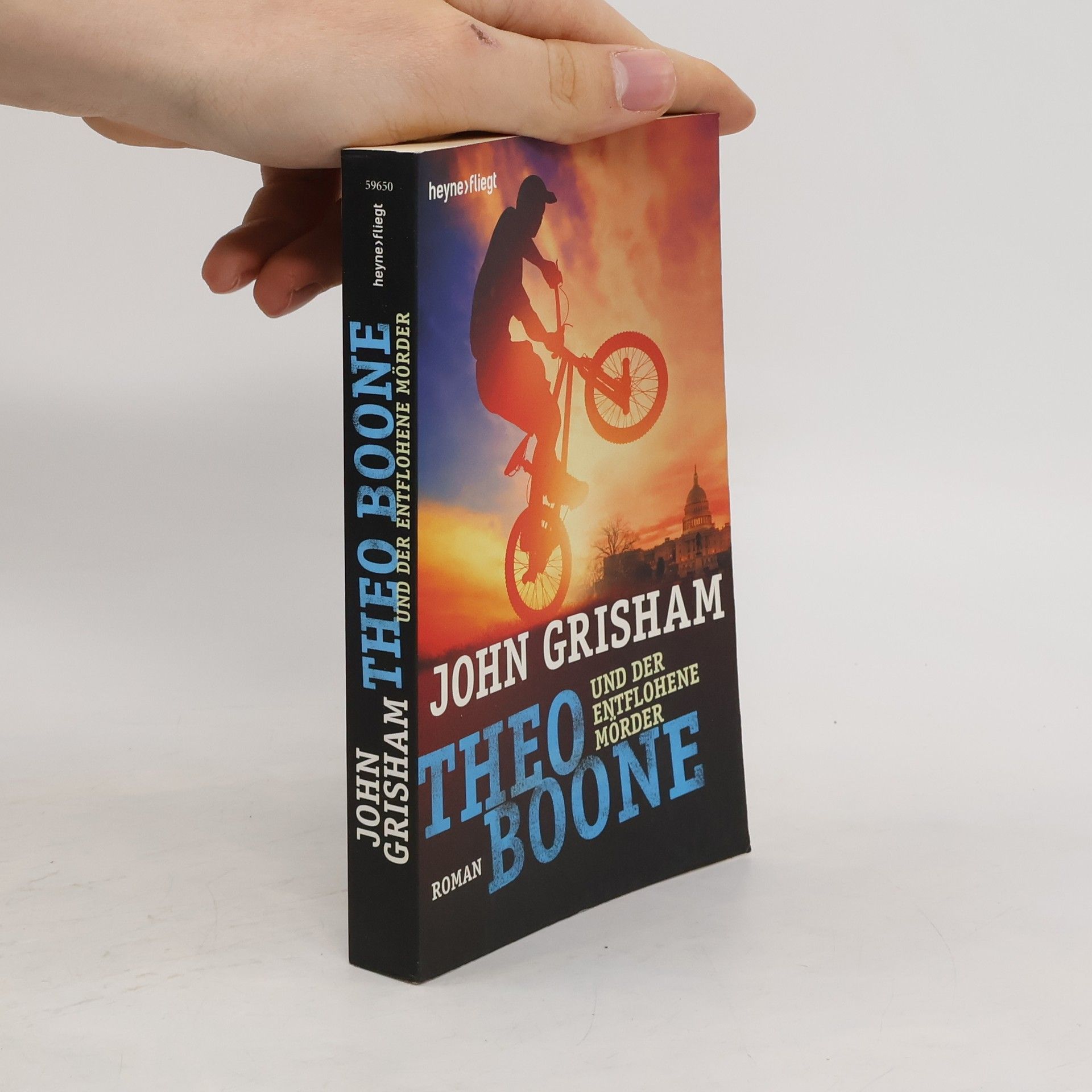 John Grisham Theo Boone - der entflohene Mörder