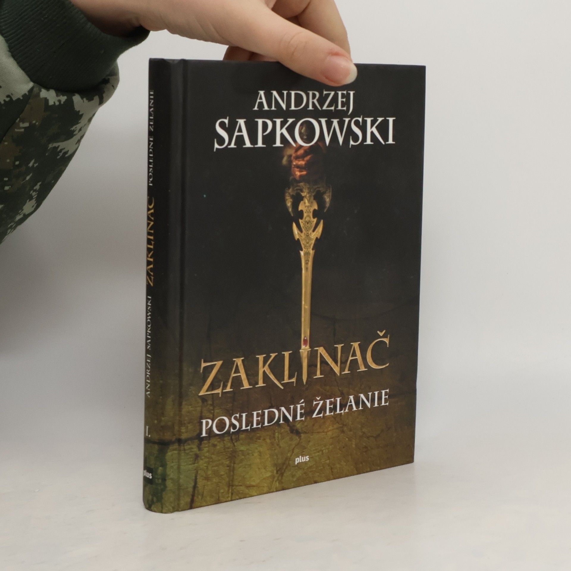 Andrzej Sapkowski Zaklínač. Posledné želanie