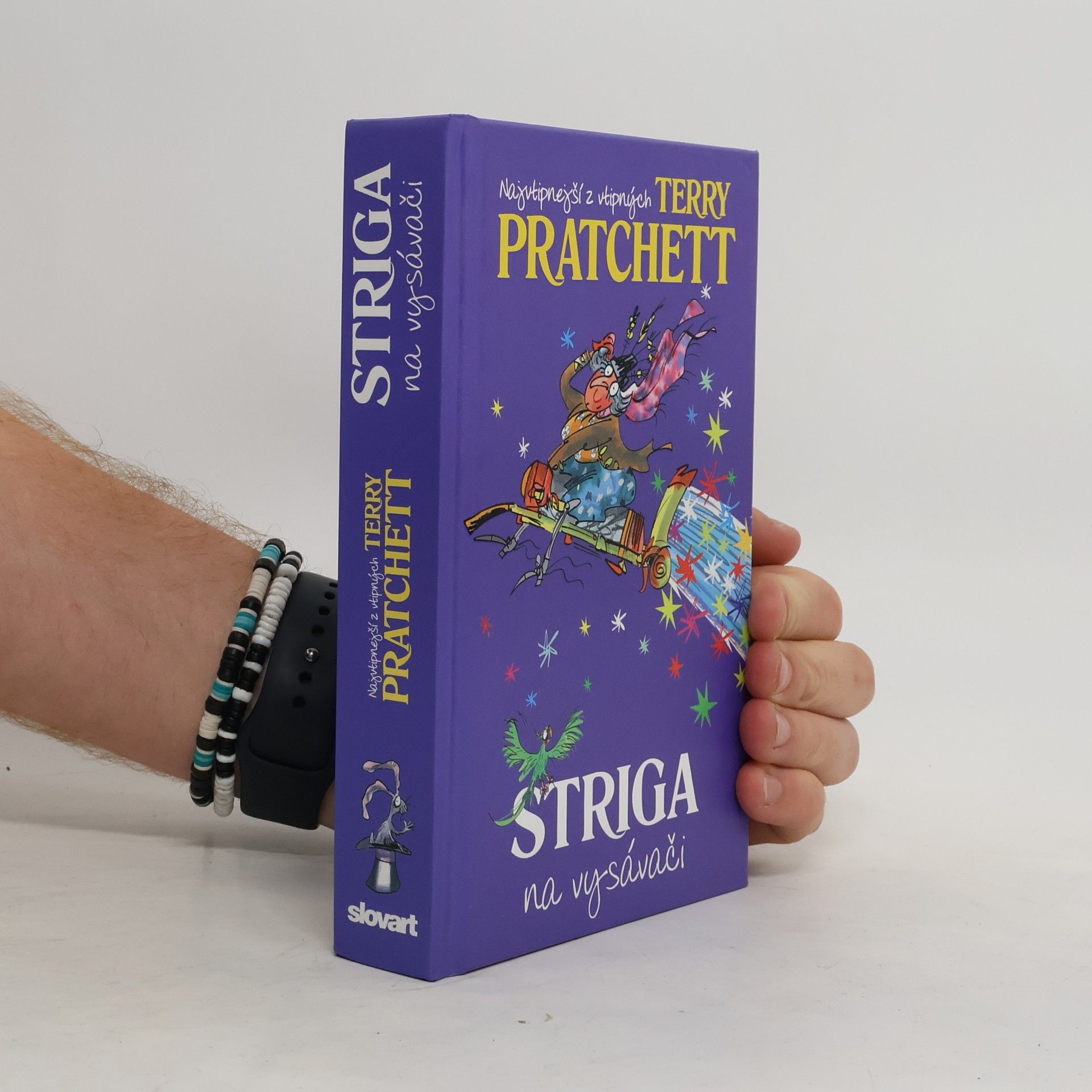 Terry Pratchett Striga na vysávači