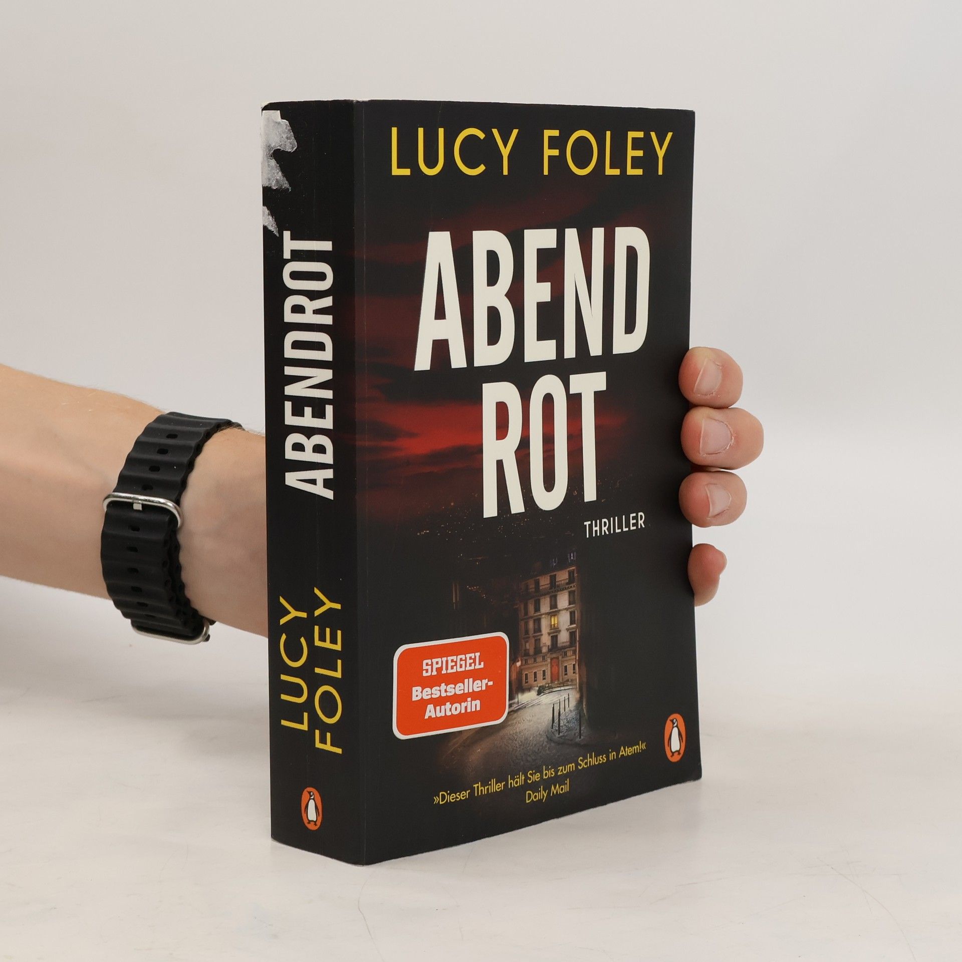 Lucy Foley Abendrot
