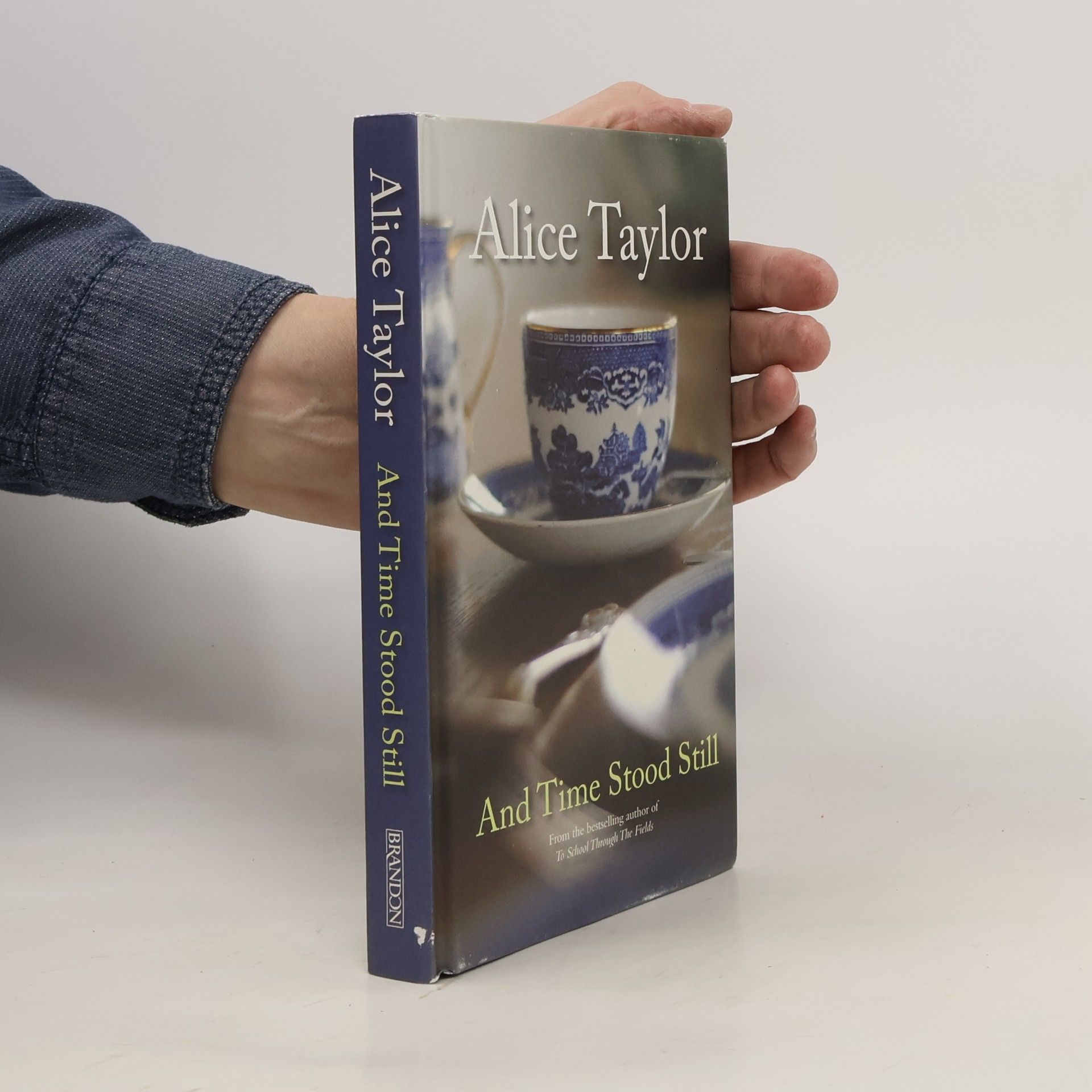 Alice Taylor And Time Stood Still