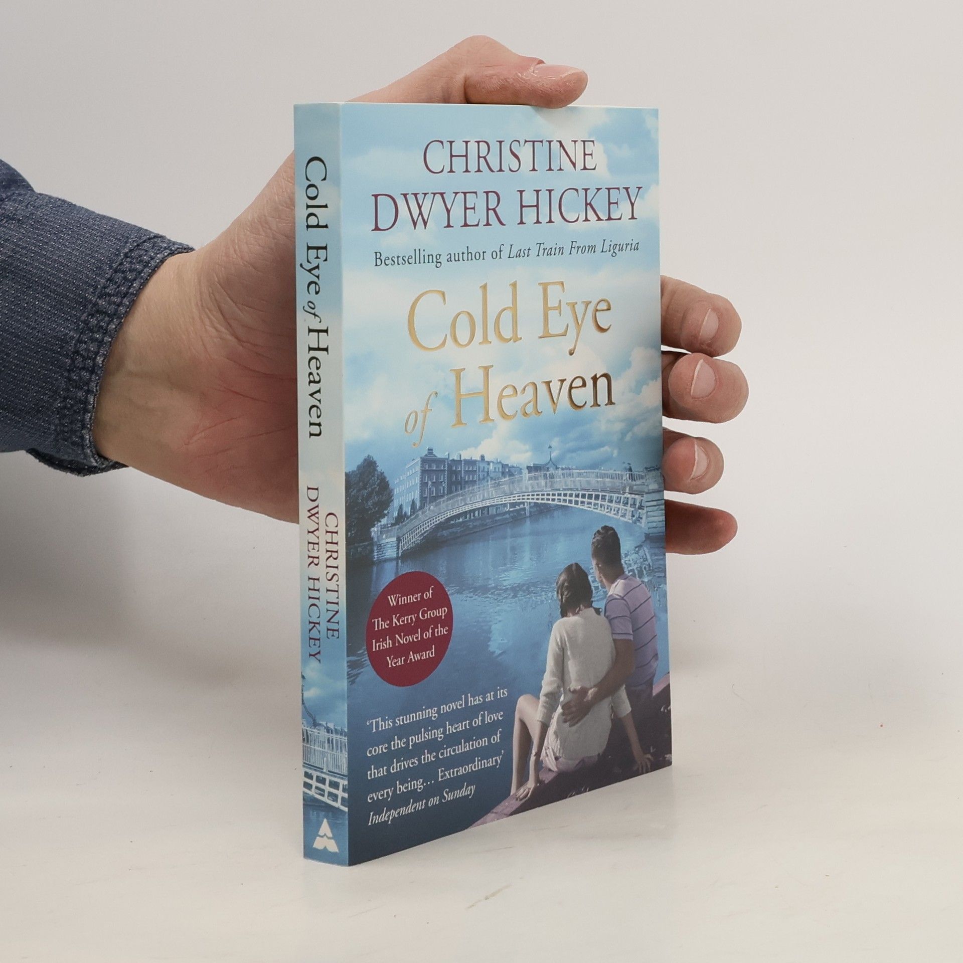Christine Dwyer Hickey Cold Eye of Heaven