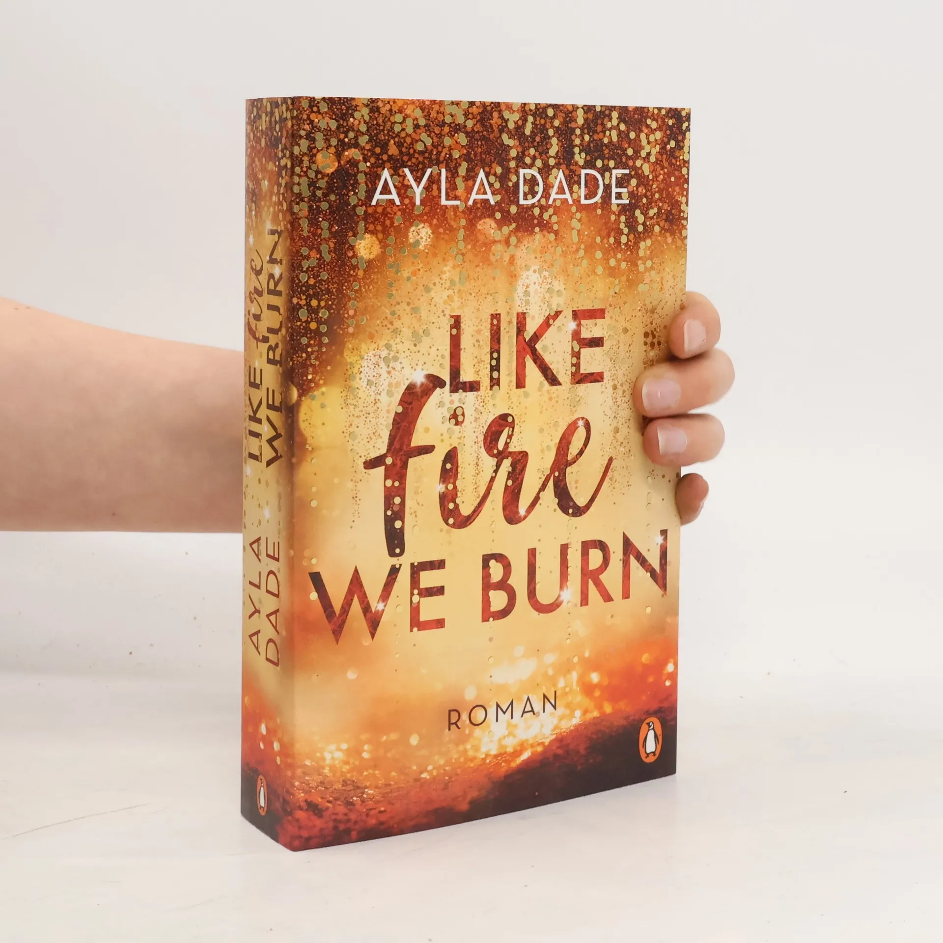 Like Fire We Burn | Book | Ayla Dade | DE