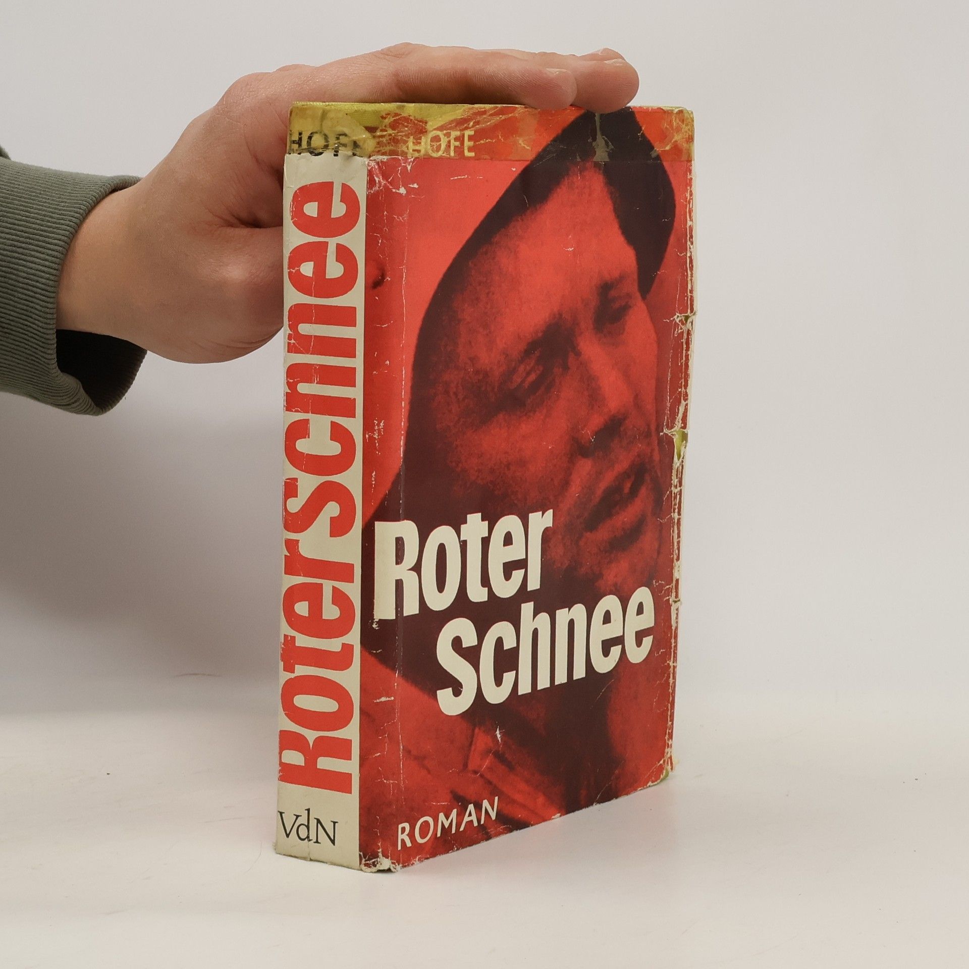 Günter Hofé Roter Schnee