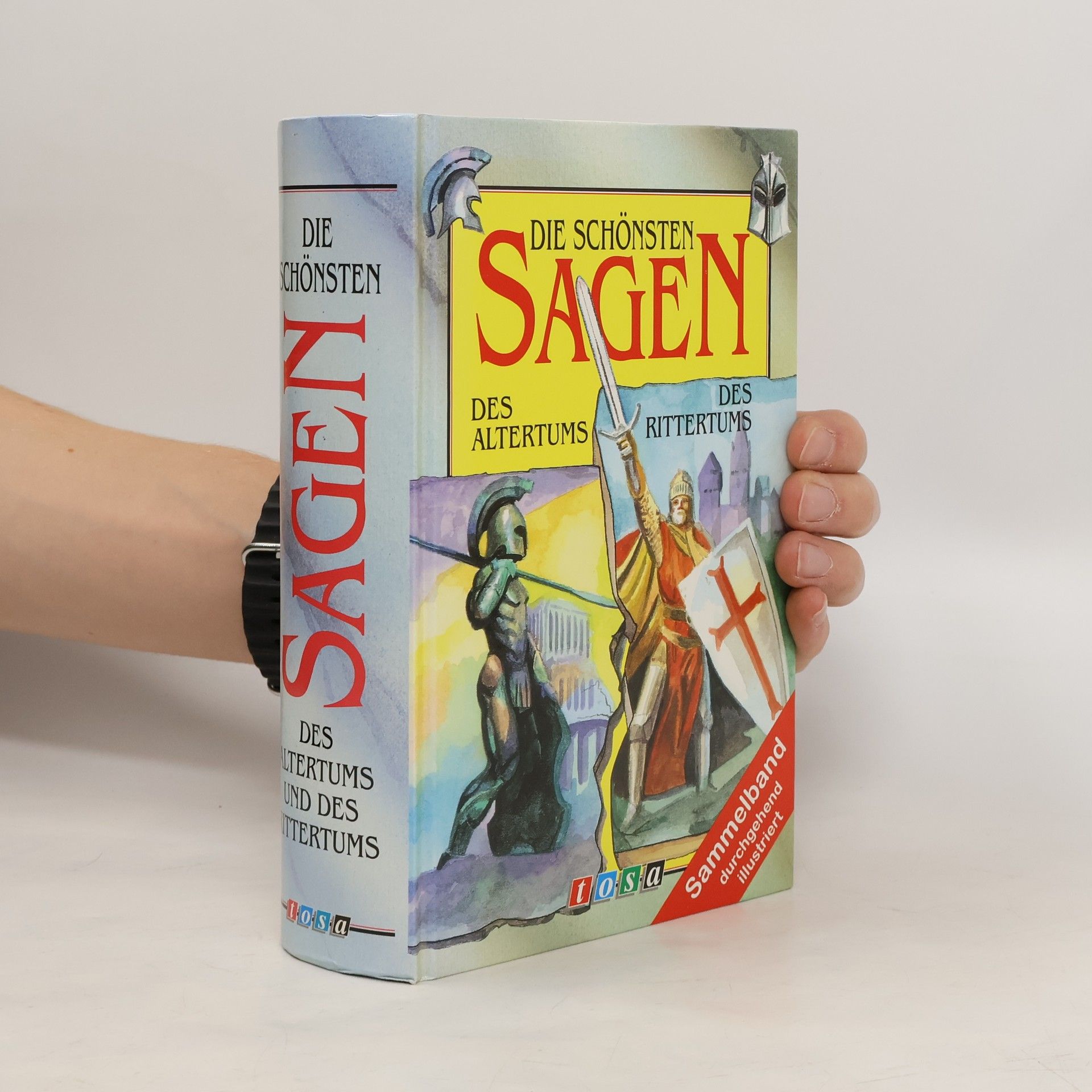 Kolektiv autorů Die schönsten Sagen des Altertums und des Rittertums