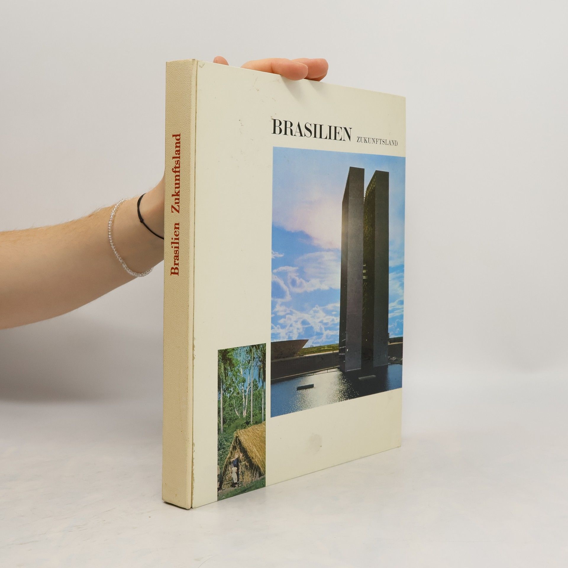 Collectif d'auteurs Brasilien, Zukunftsland