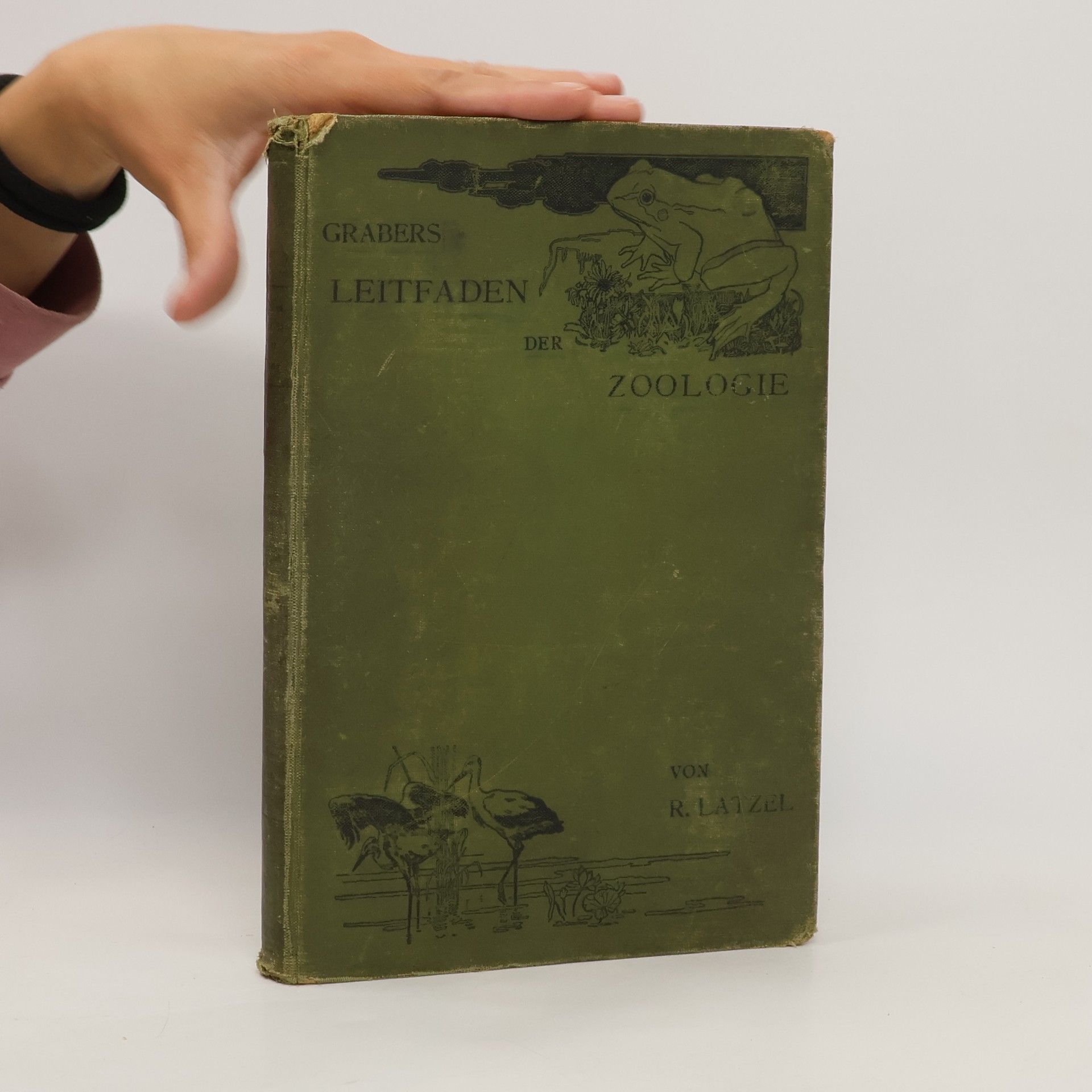 Collectif d'auteurs Grabers Leitfaden der Zoologie für die oberen Classen der Mittelschulen