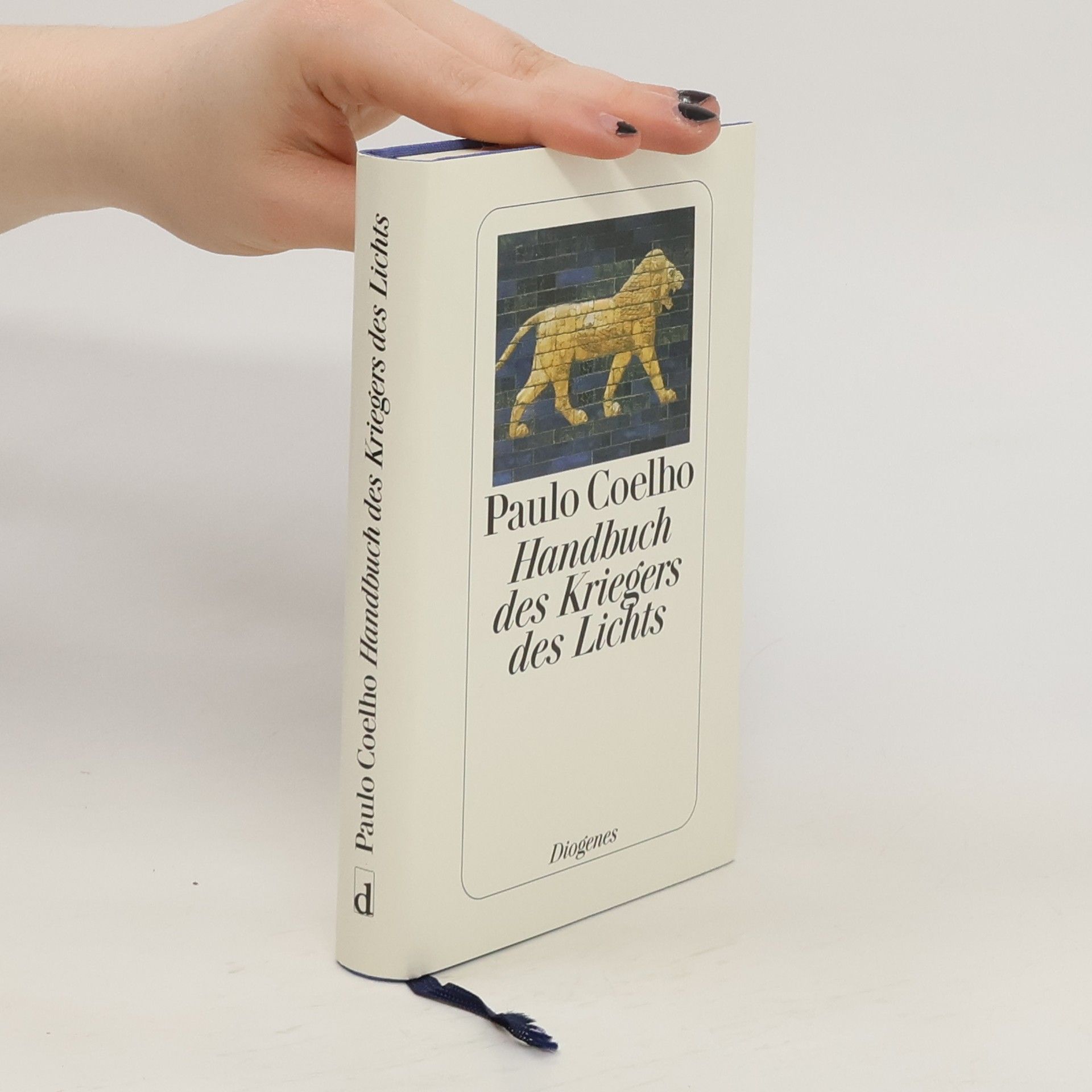 Paulo Coelho Handbuch des Kriegers des Lichts