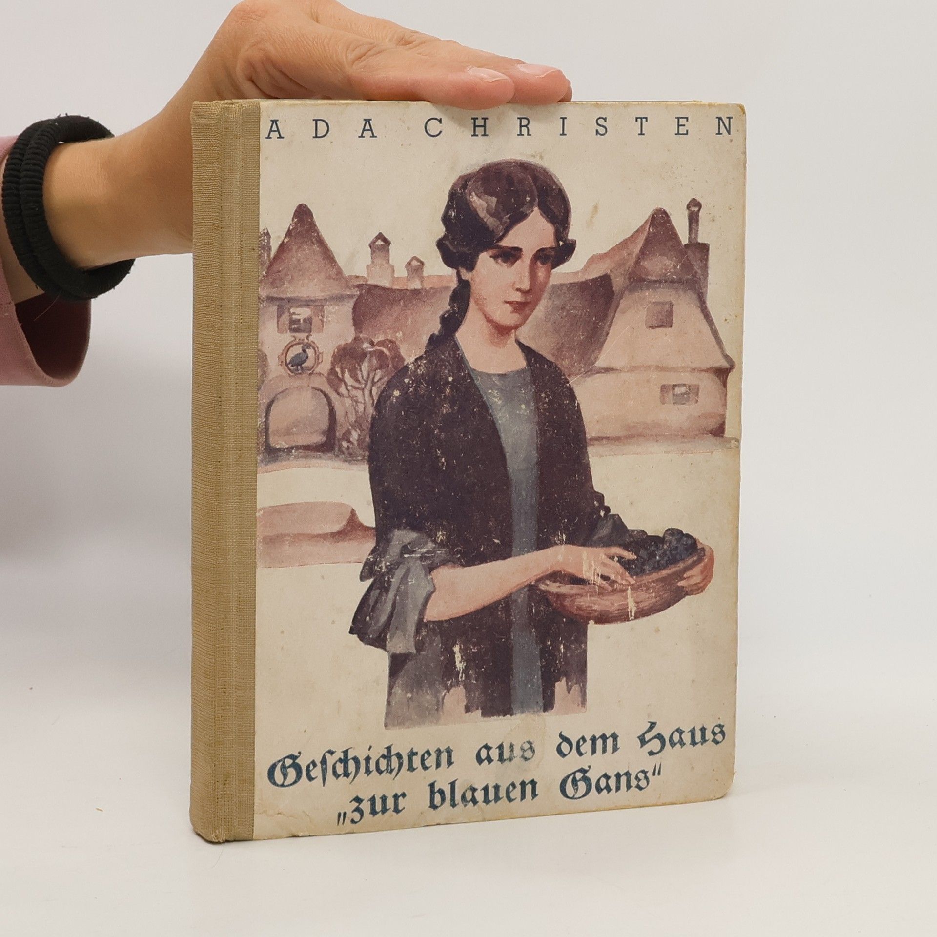 Ada Christen Geschichten aus dem Haus zur blauen Gans