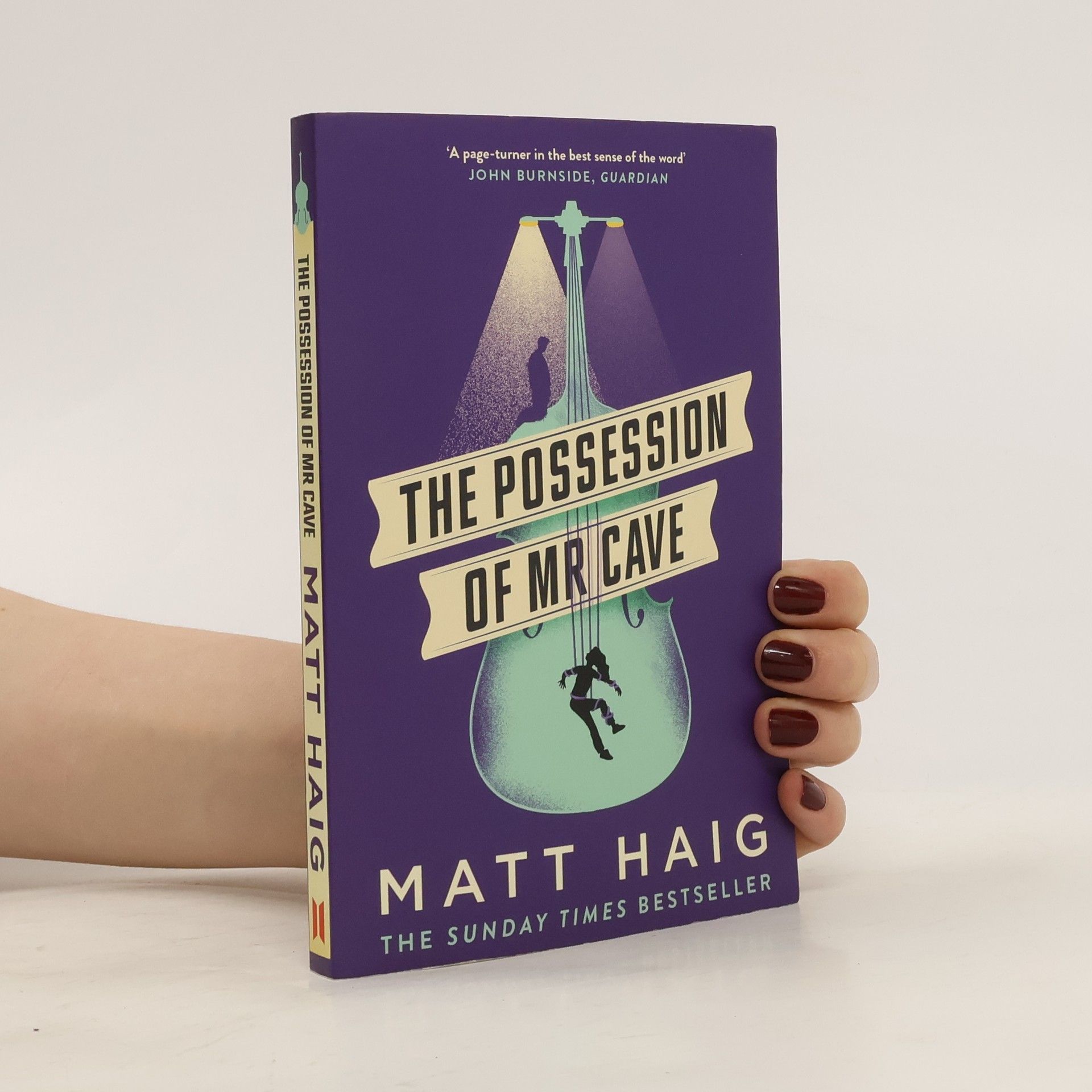 Matt Haig The Possession of Mr Cave