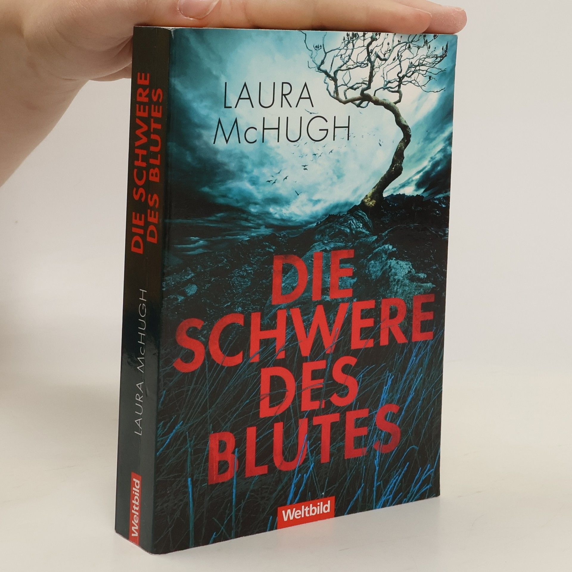 Laura McHugh Die Schwere des Blutes