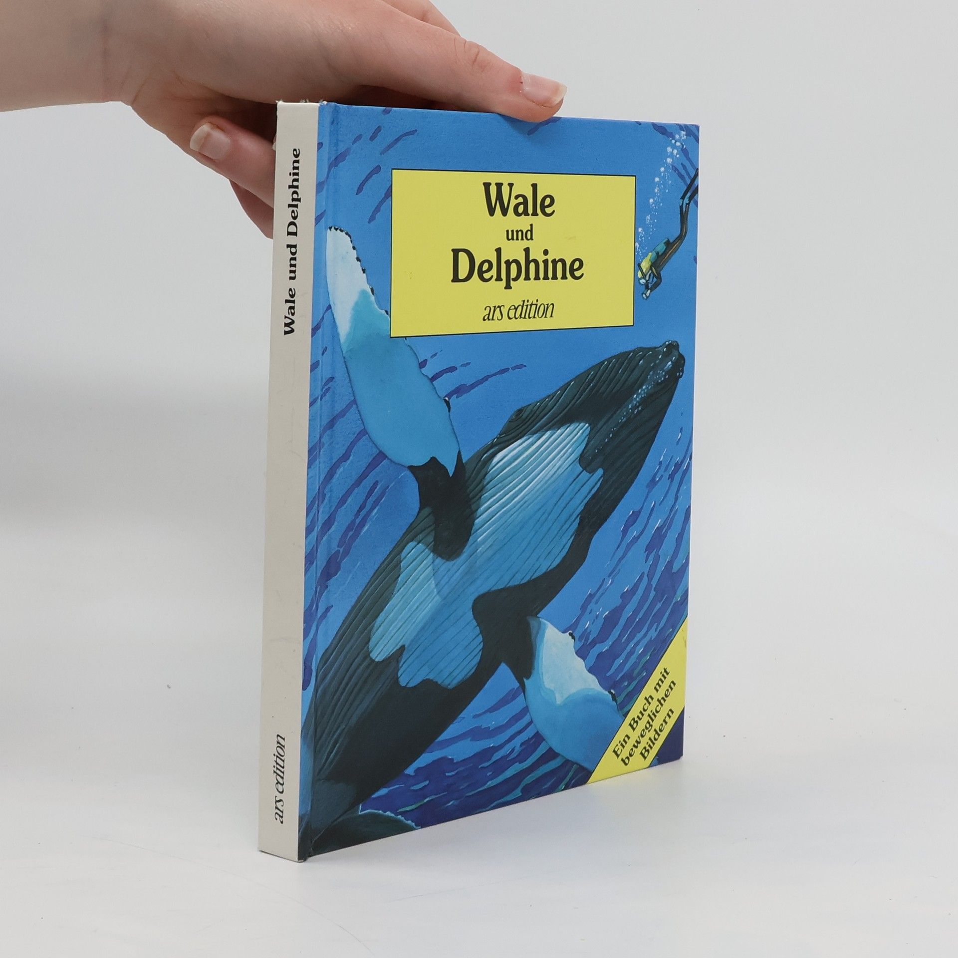 Tanner Ottley Gay Wale und Delphine. Ein Buch mit beweglichen Bildern.