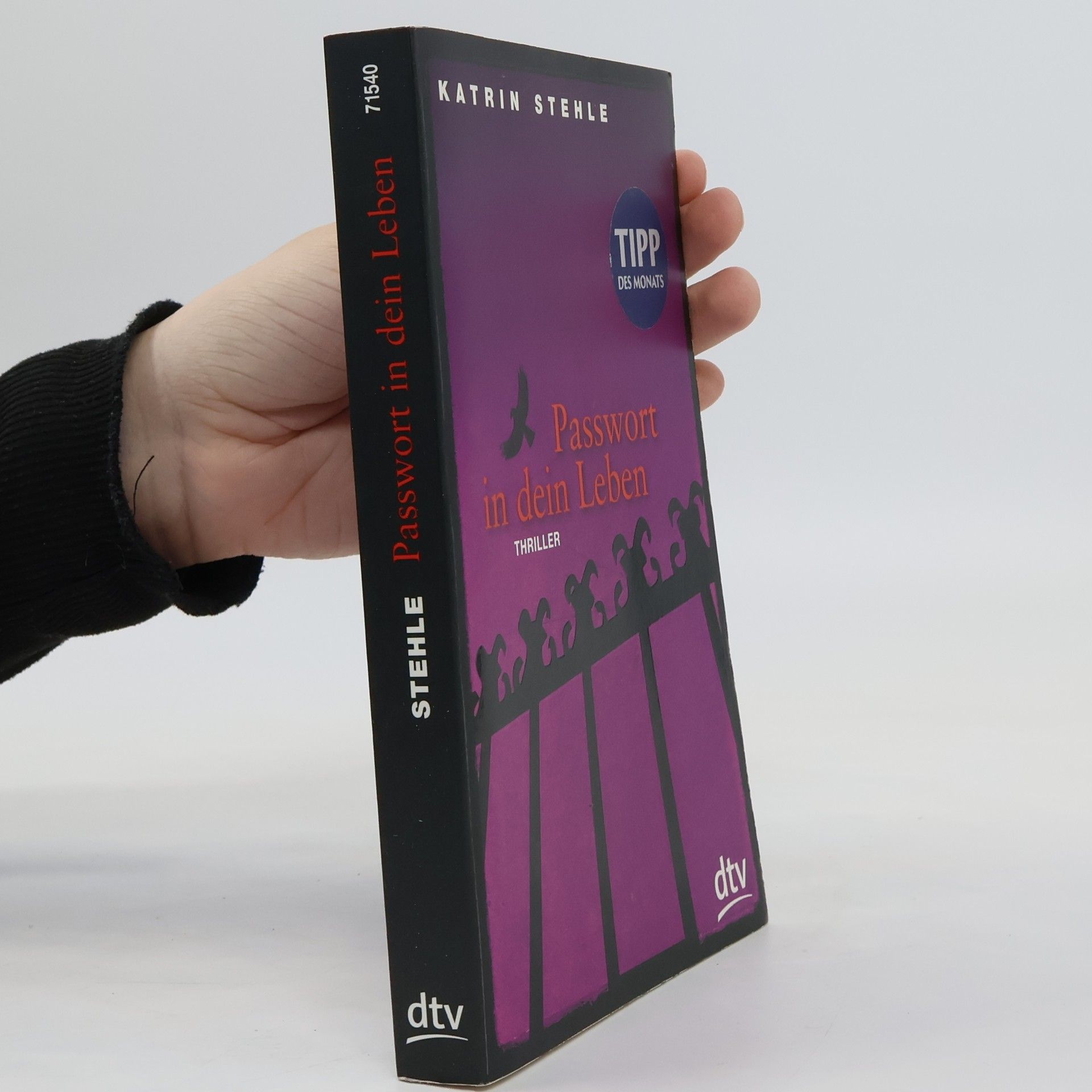 Karin Stehle Passwort in dein Leben