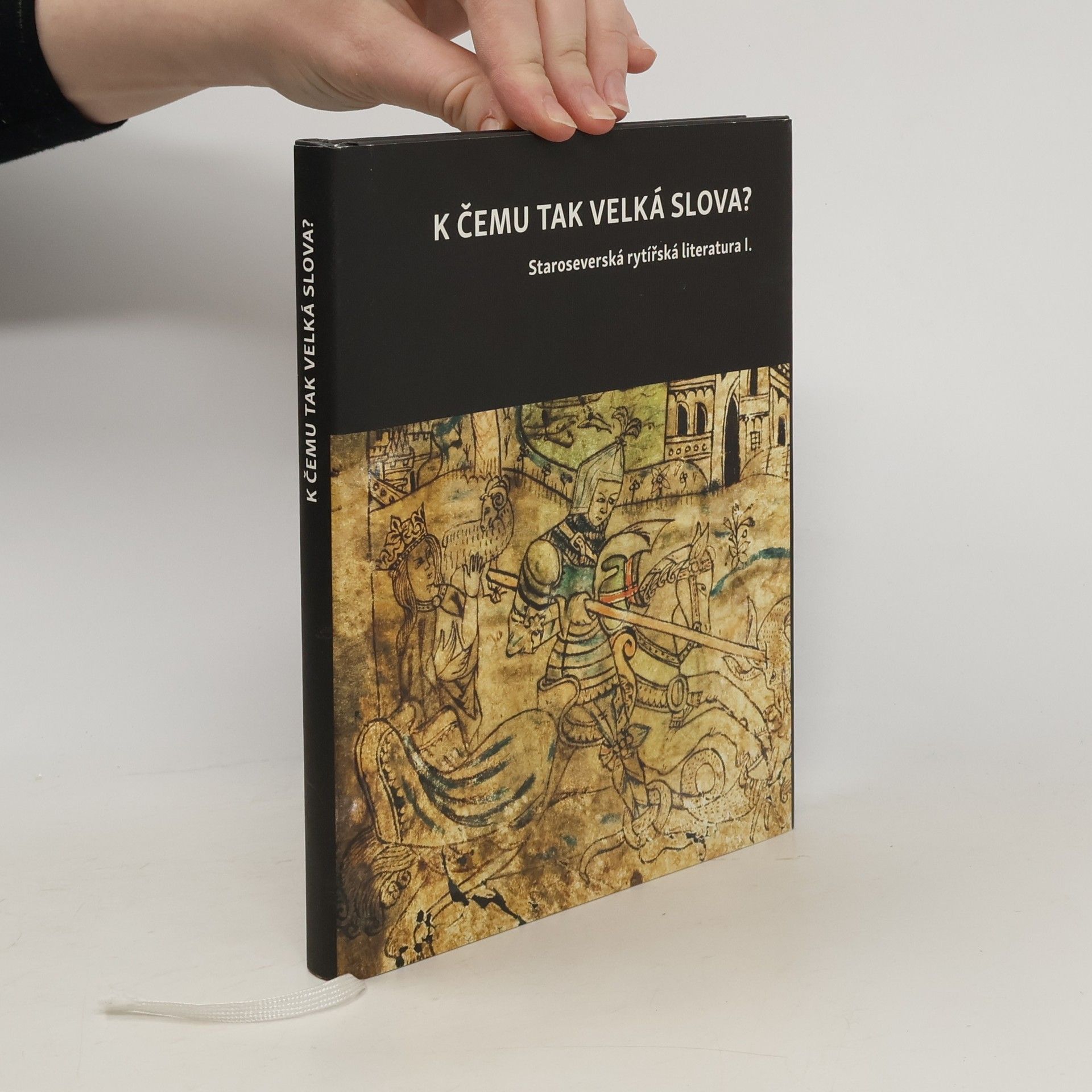 Collective K čemu tak velká slova? Staroseverská rytířská literatura I.