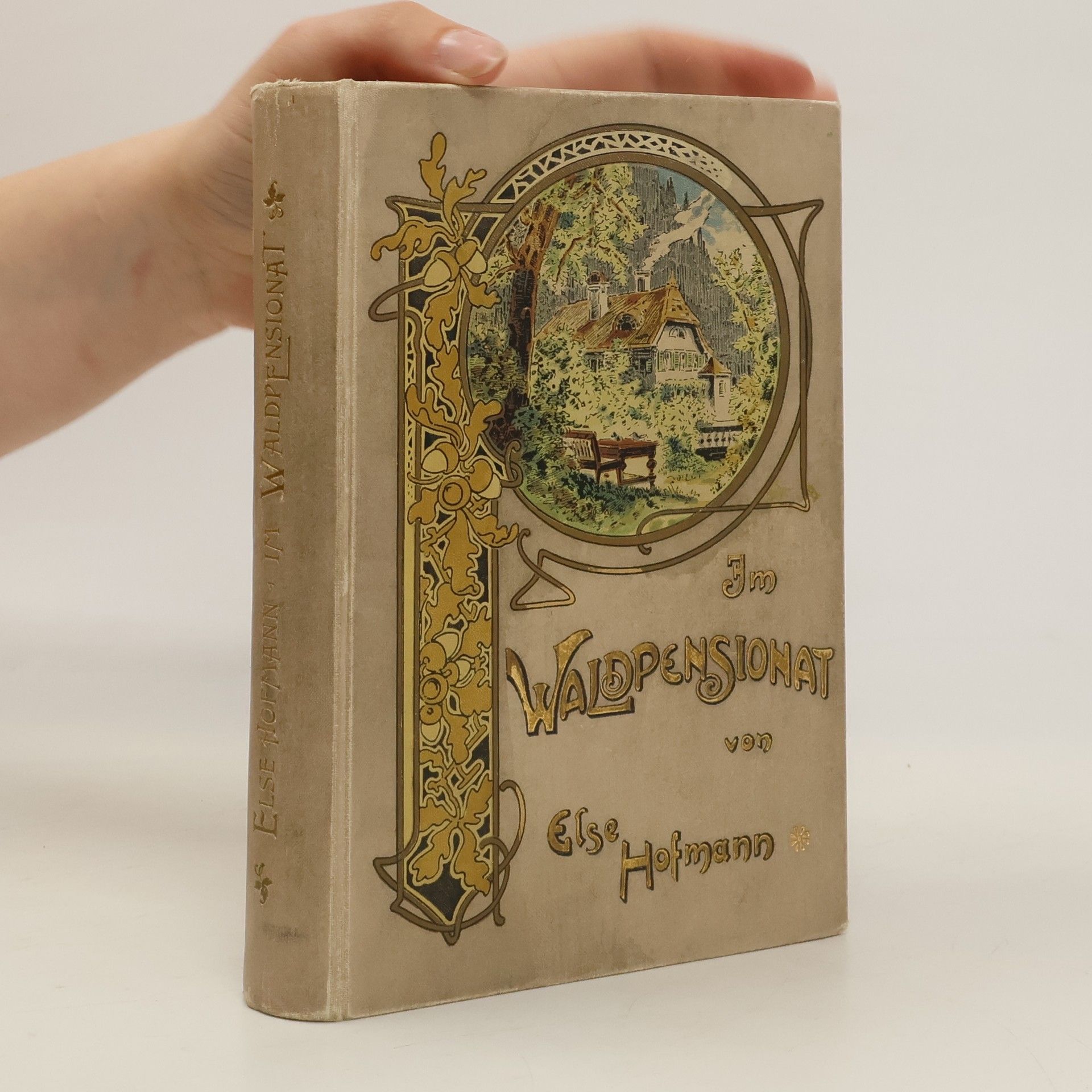 Else Hofmann Im Waldpensionat