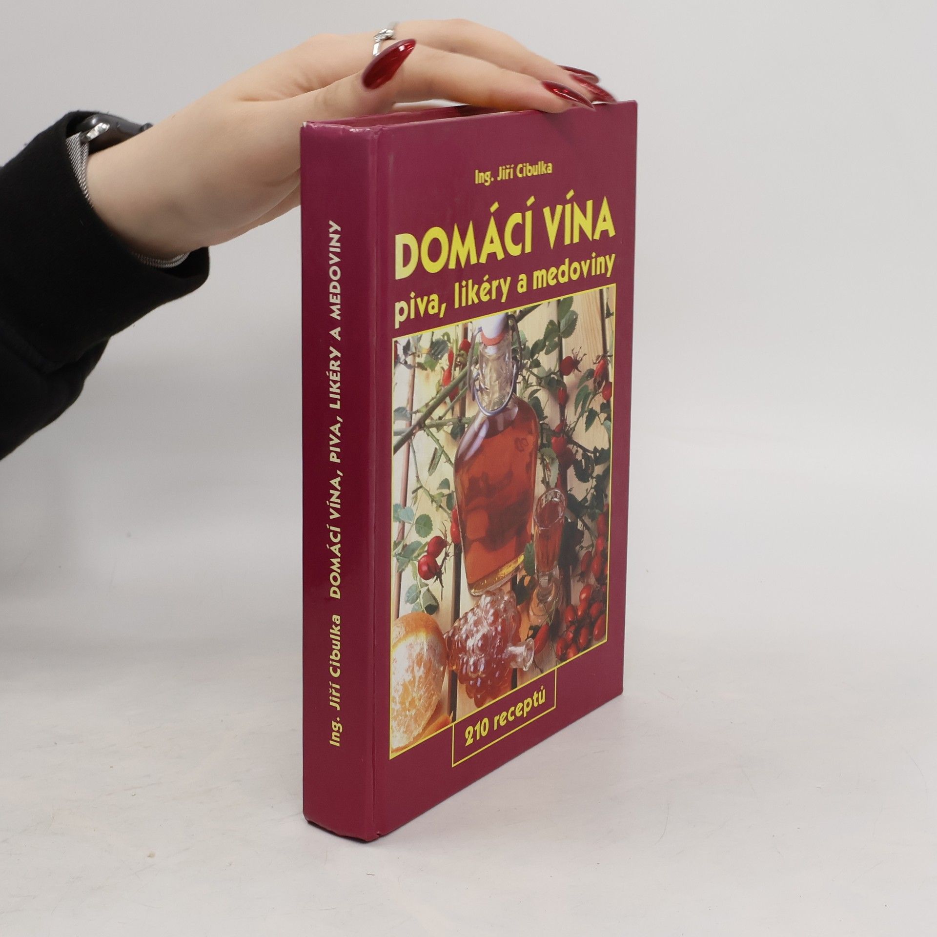 Jiří Cibulka Domácí vína: Piva, likéry a medoviny
