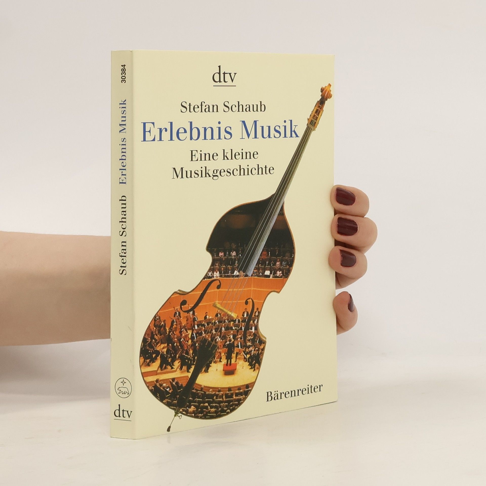 Stefan Schaub Erlebnis Musik