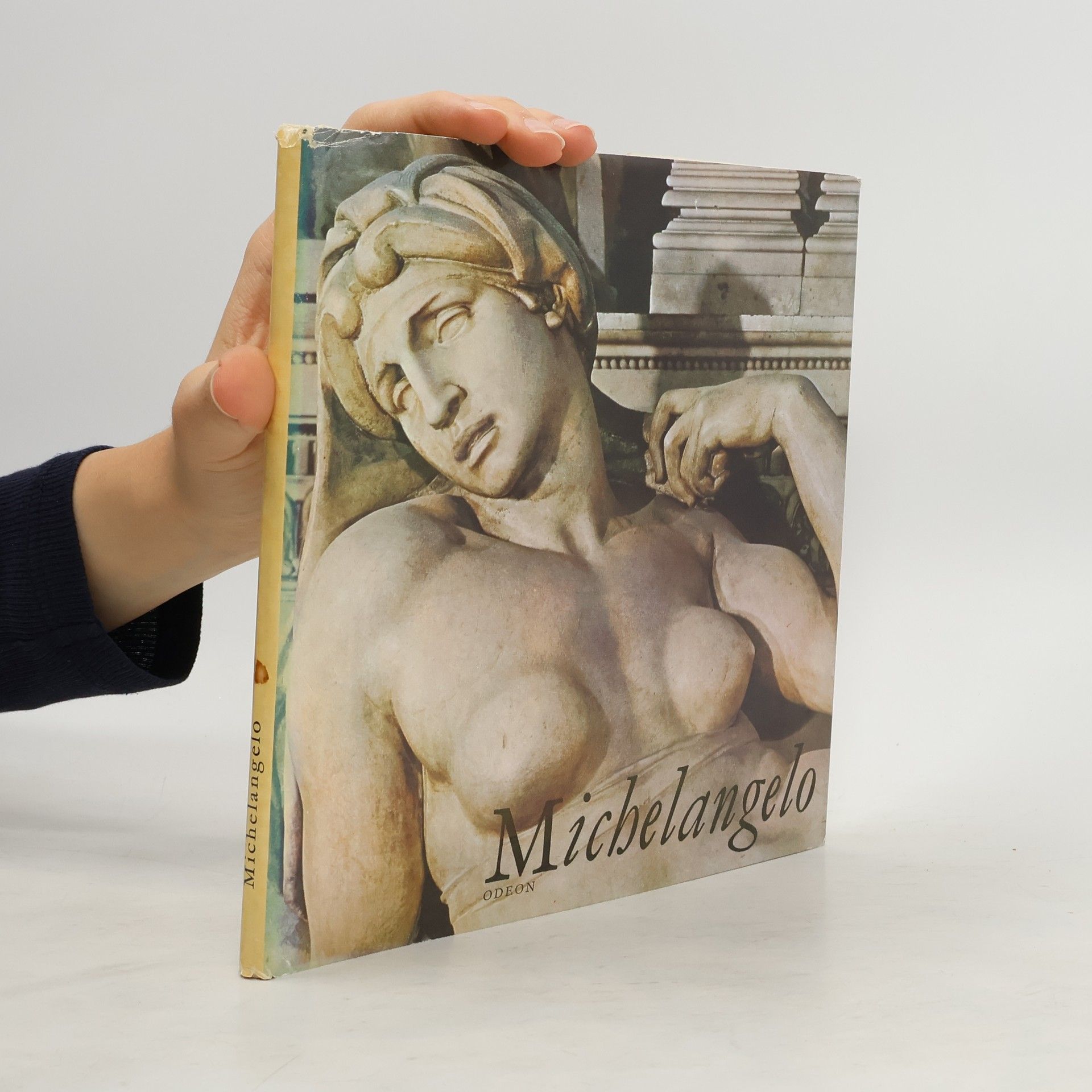 Oldřich J. Blažíček Michelangelo