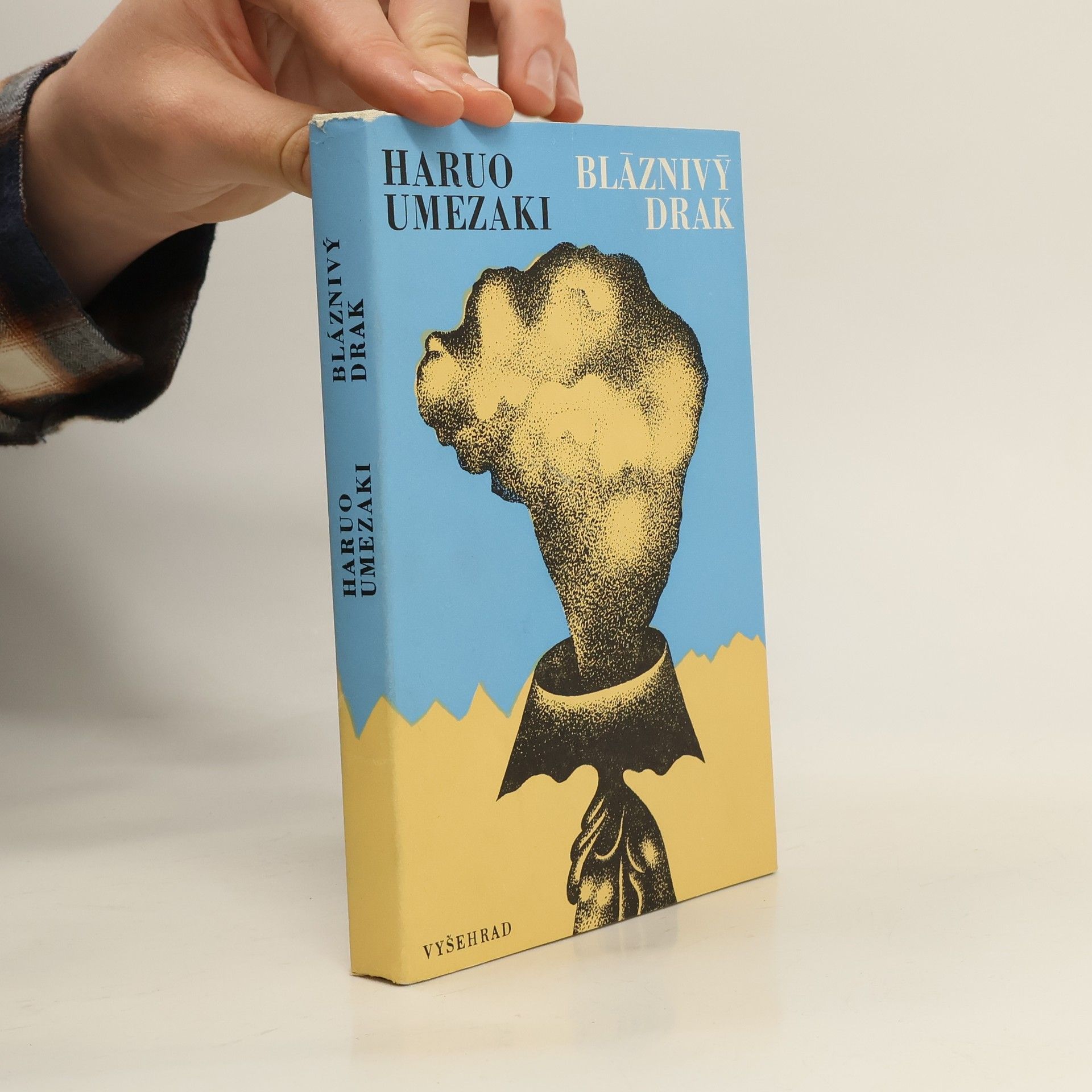 Eva Bednářová Bláznivý drak