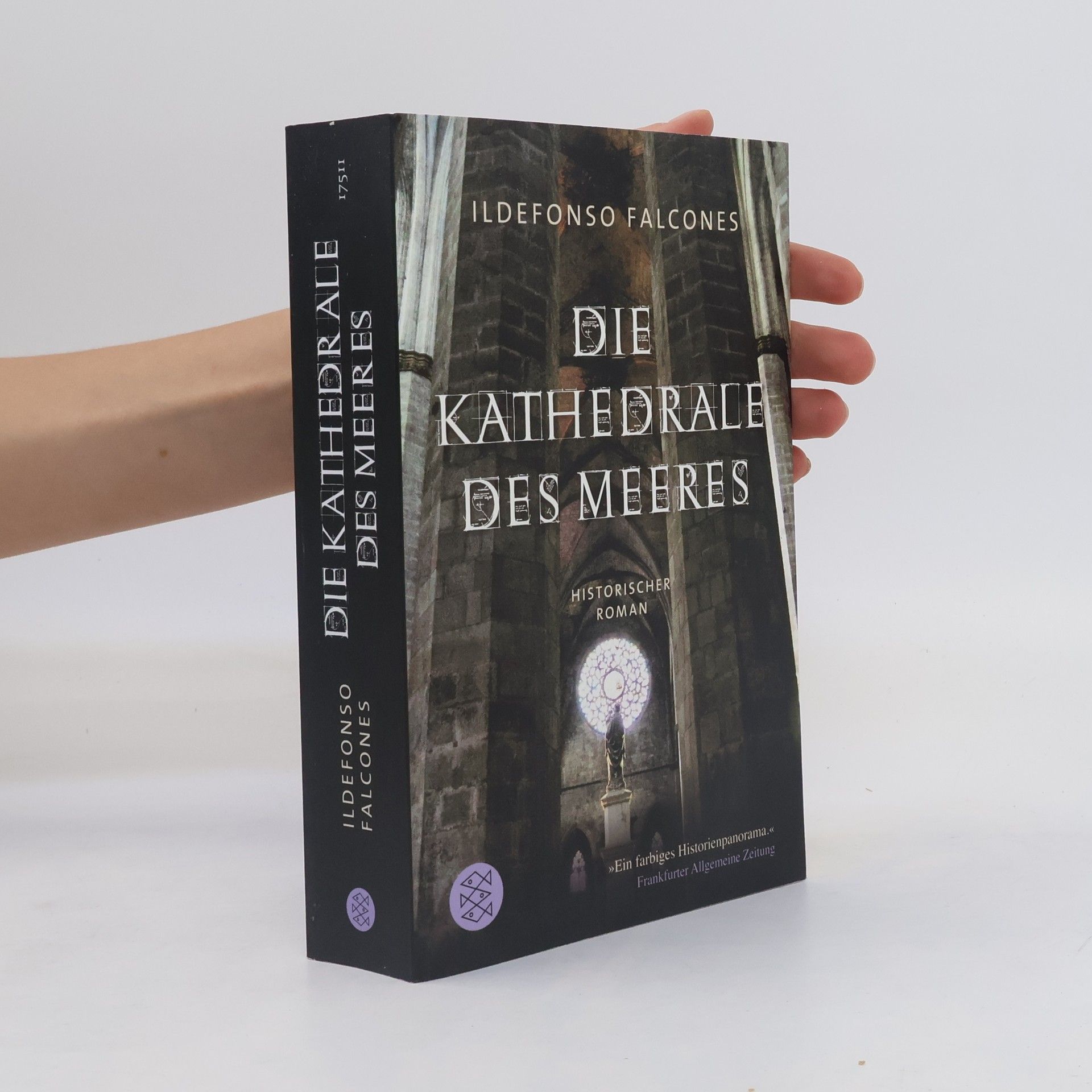 Ildefonso Falcones Die Kathedrale des Meeres