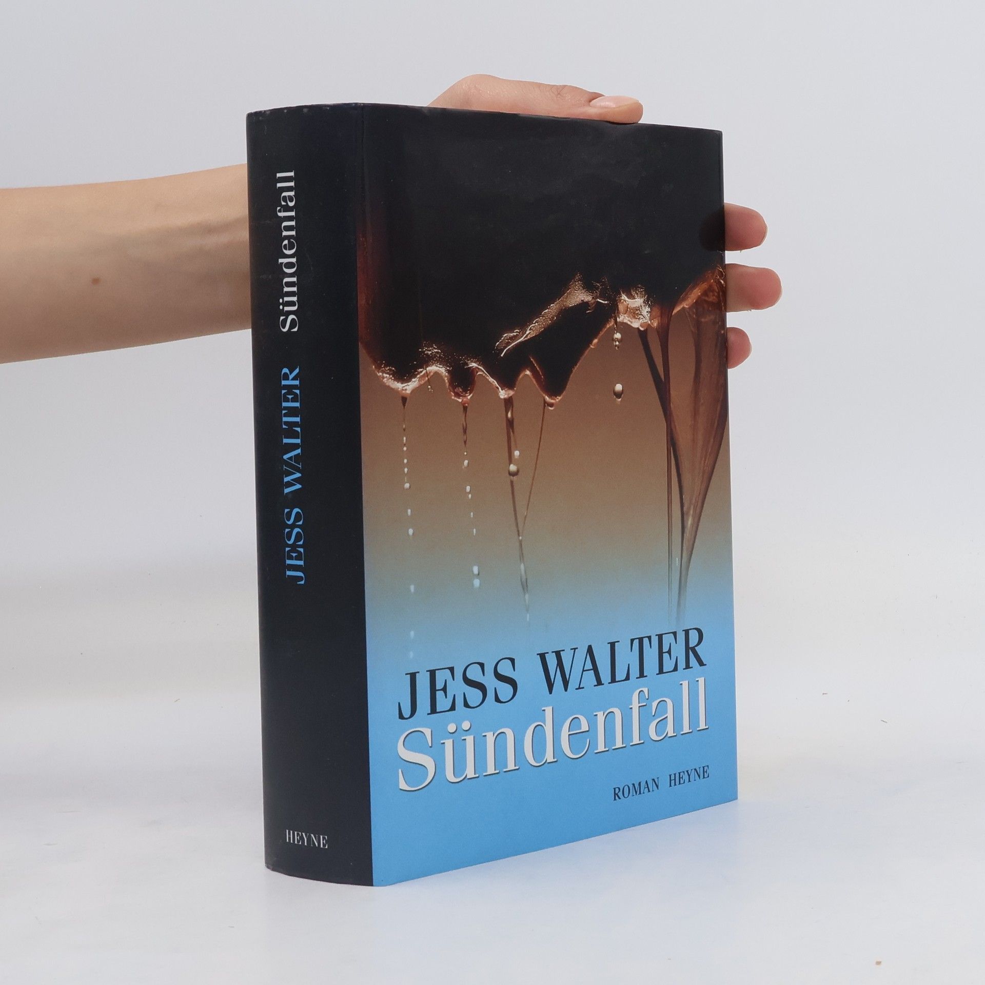 Jess Walter Sündenfall. Roman