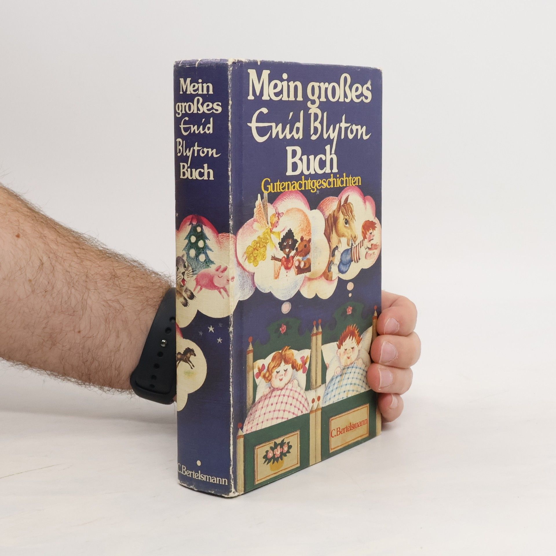 Enid Blyton Das große Buch der Abenteuergeschichten