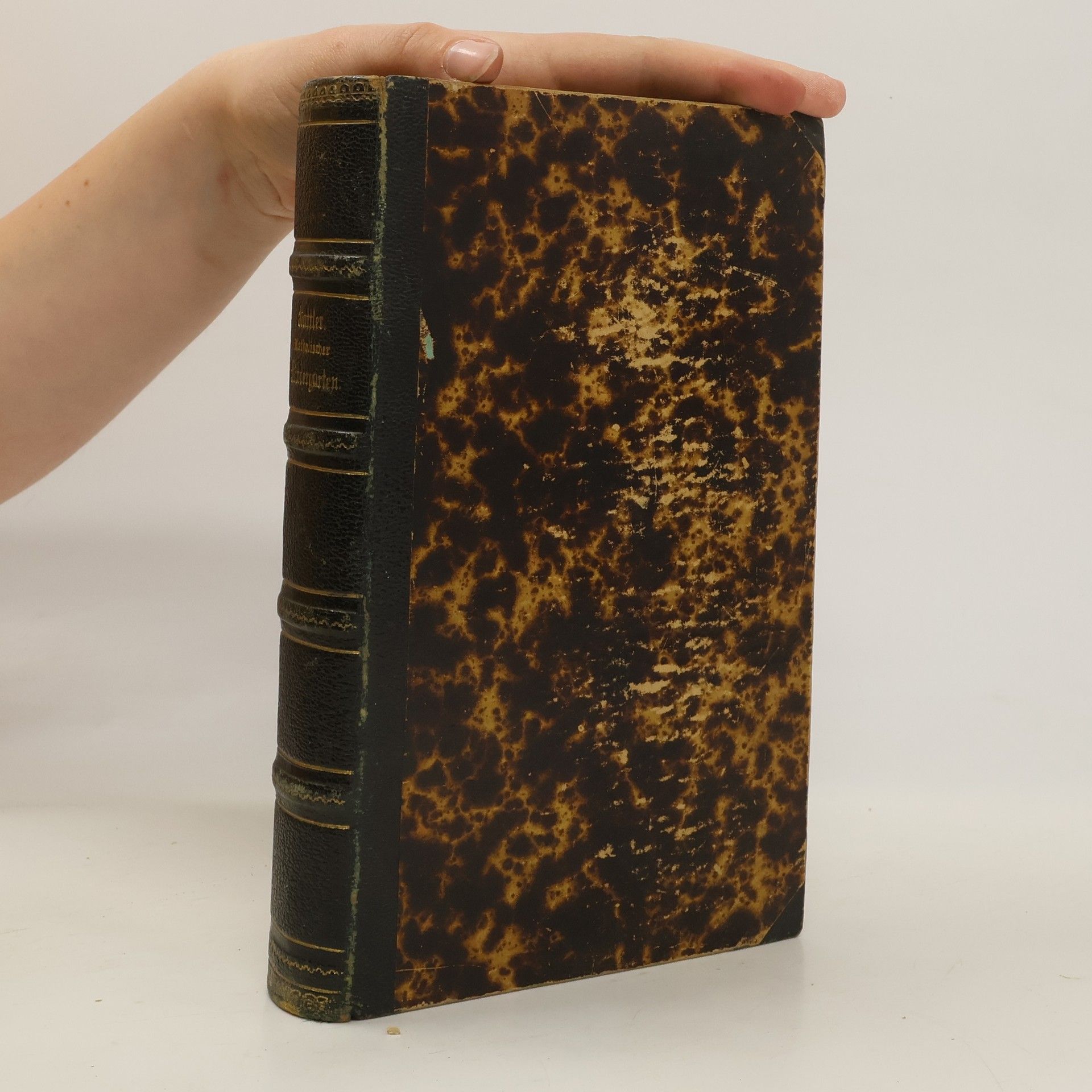 Franz Ser. Hattler Katholischer Kindergarten oder Legende für Kinder