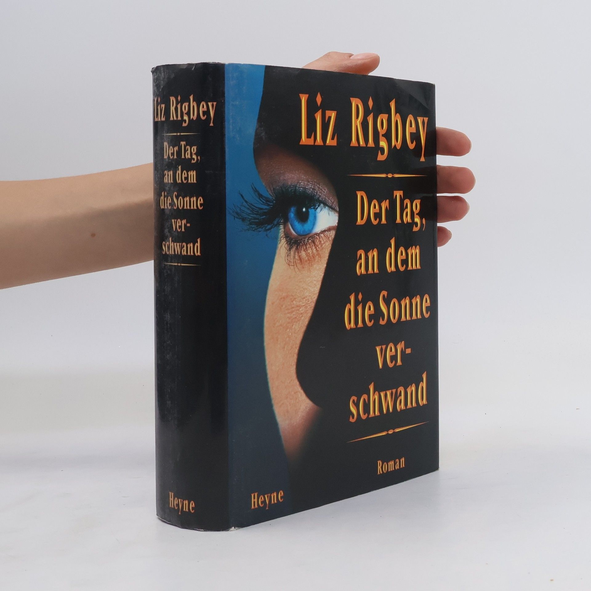 Liz Rigbey Der Tag, an dem die Sonne verschwand