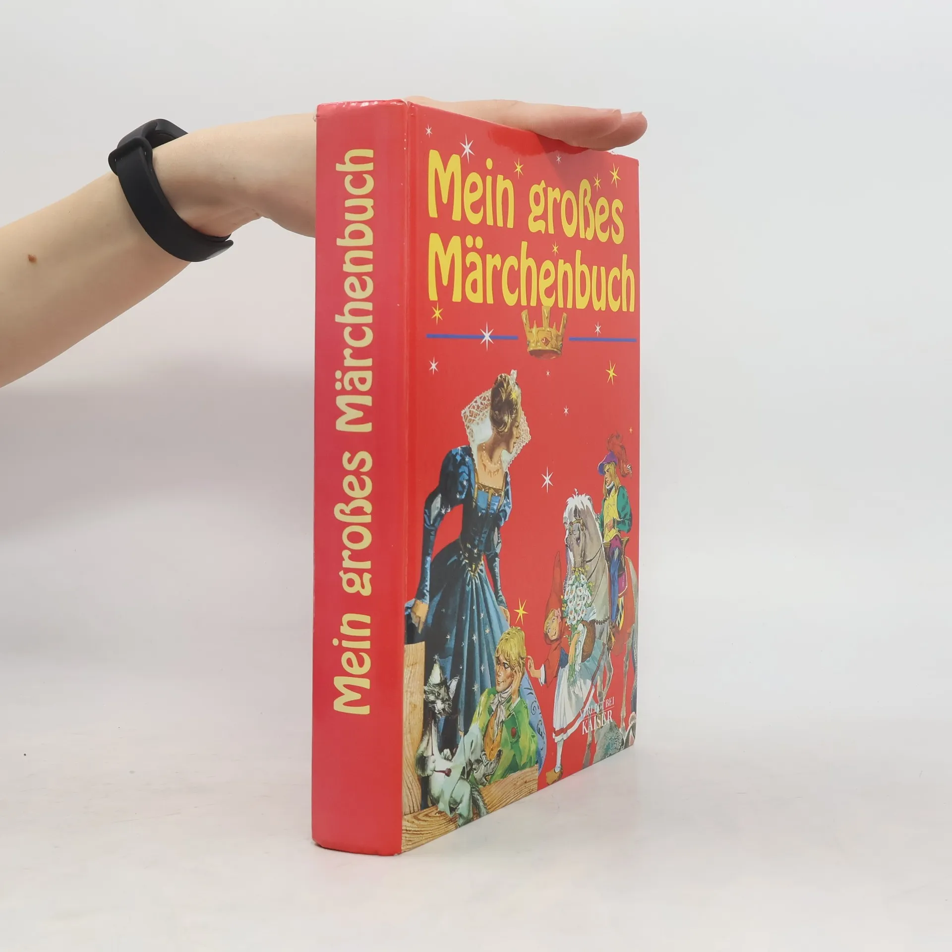 Mein großes Märchenbuch | Buch | Hardcover | Wilhelm Karl Grimm