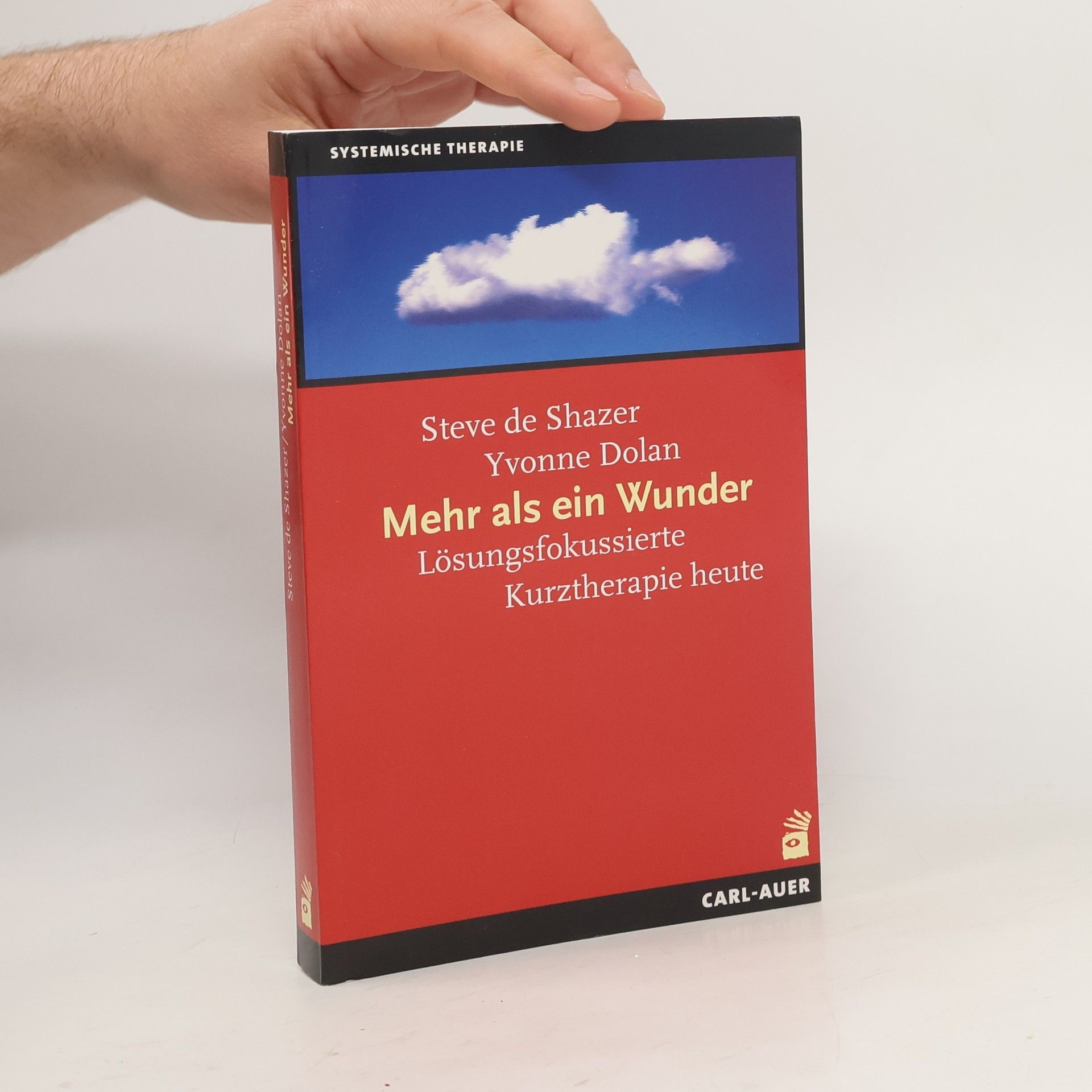Steve de Shazer Mehr als ein Wunder
