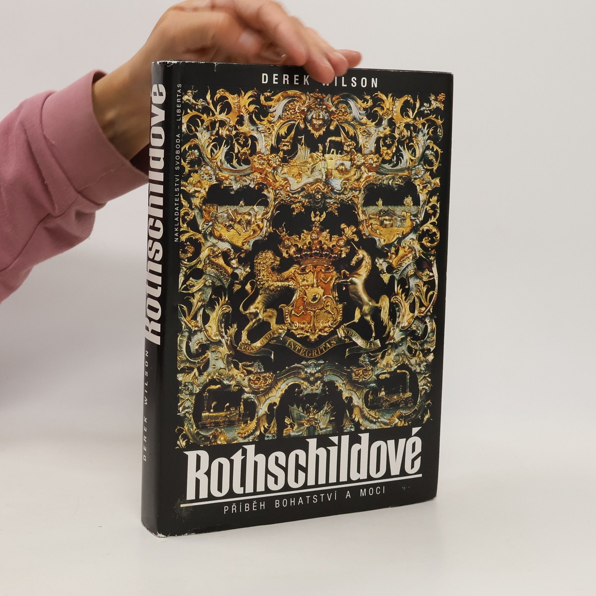 Derek A. Wilson Rothschildové. Příběh bohatství a moci