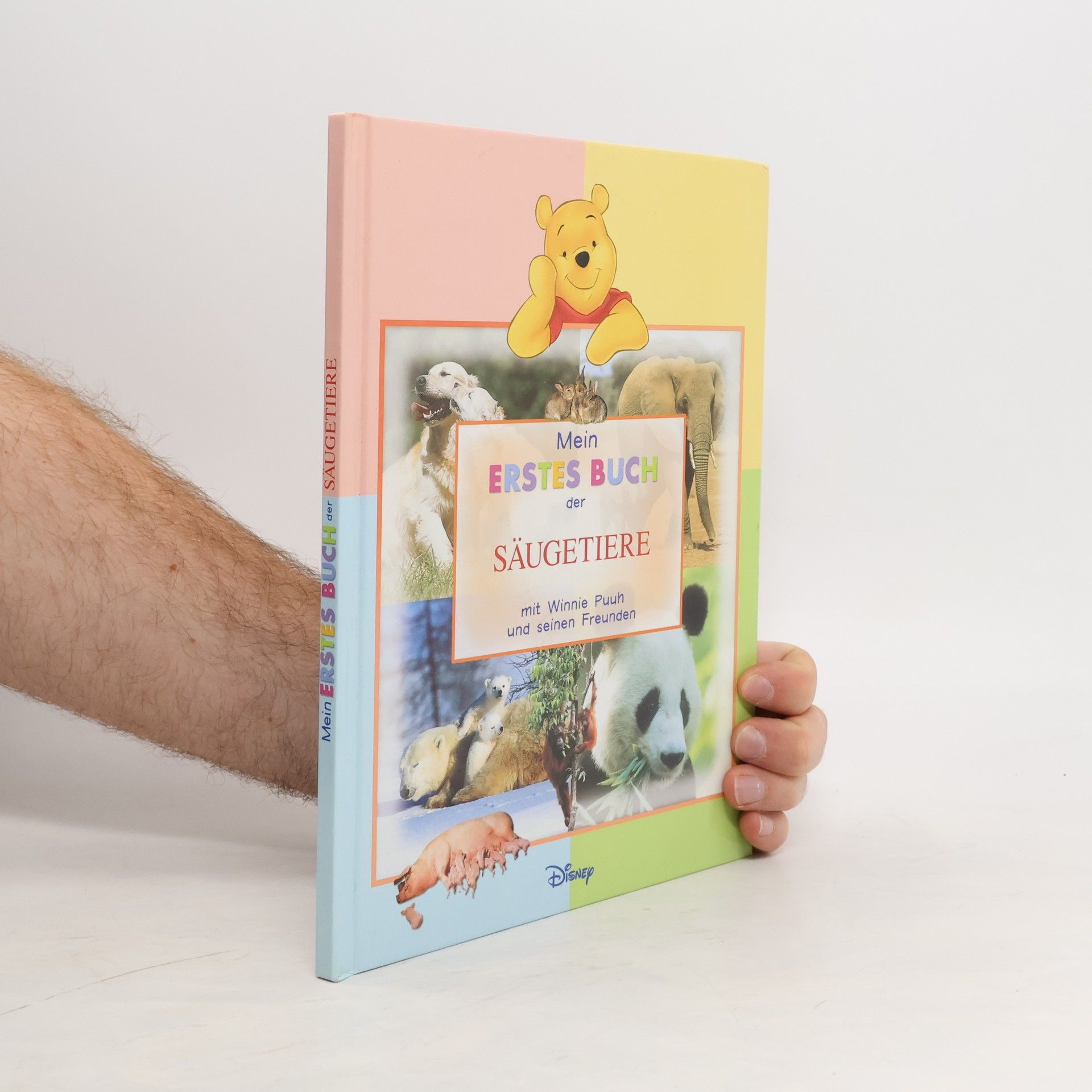 Collectif d'auteurs Mein erstes Buch der Säugetiere