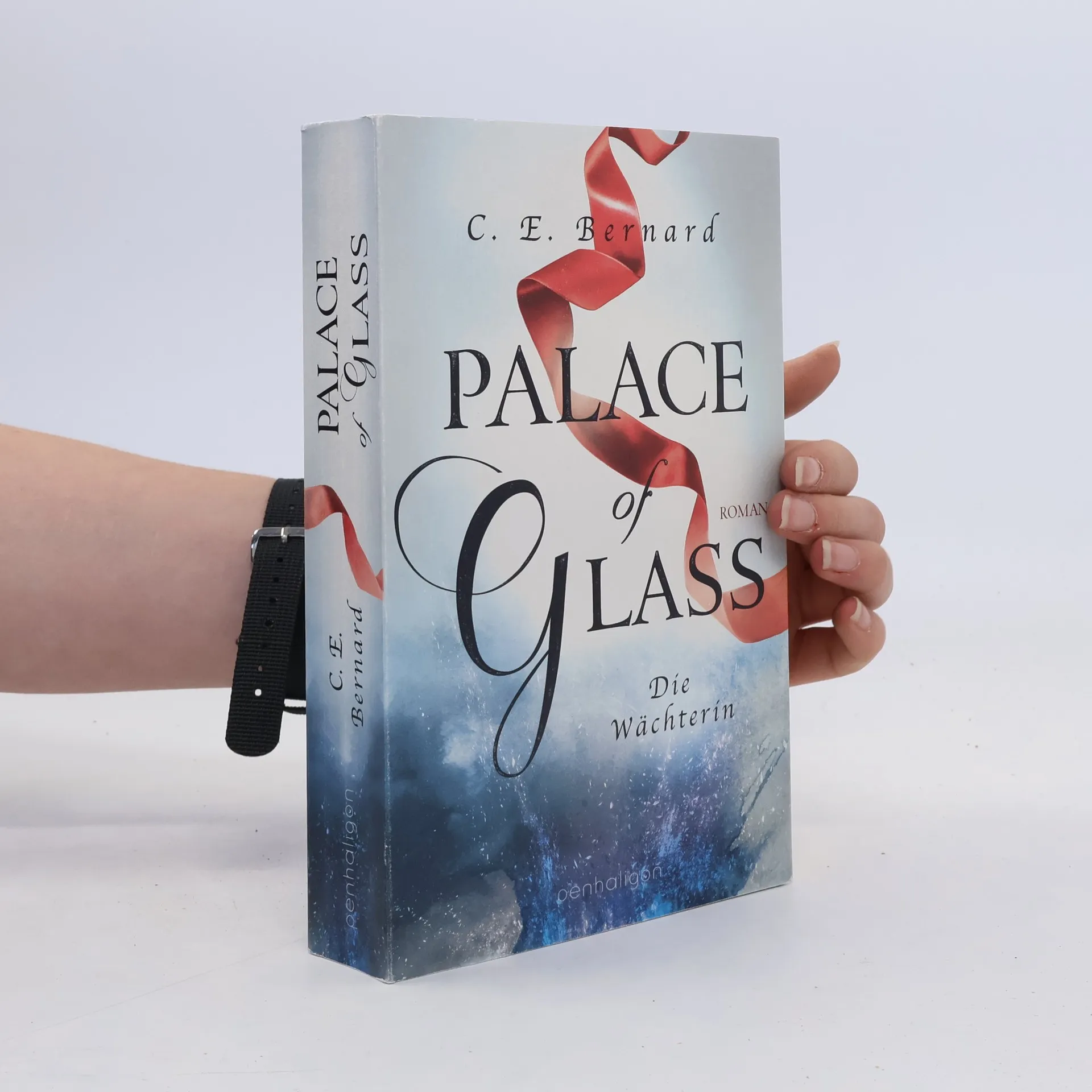Palace of glass - die Wächterin | Book | Bernard Bro | DE