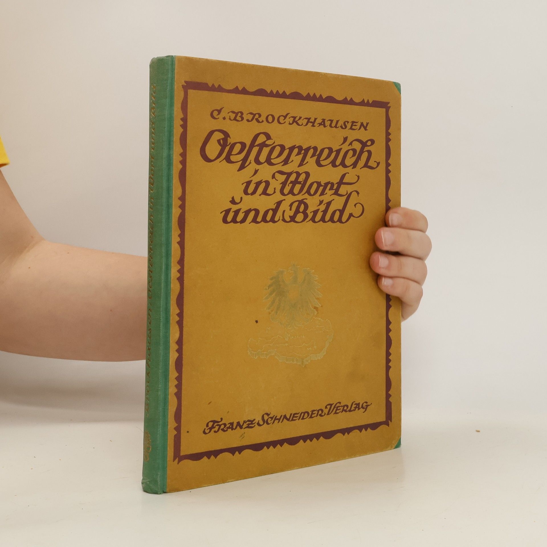 Carl Brockhausen Österreich in Wort und Bild