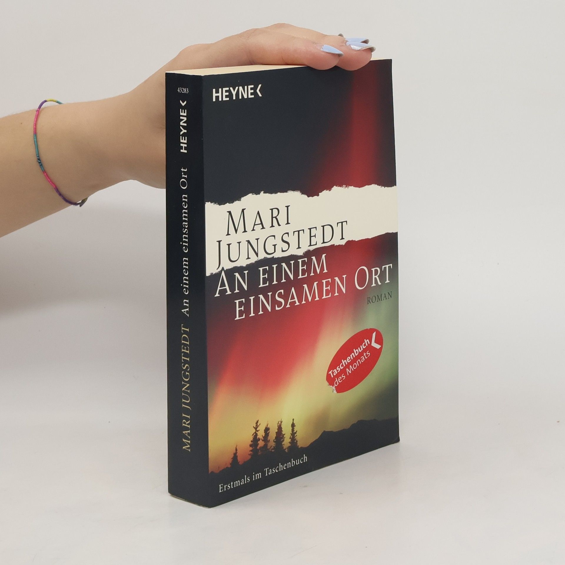 Mari Jungstedt An einem einsamen Ort