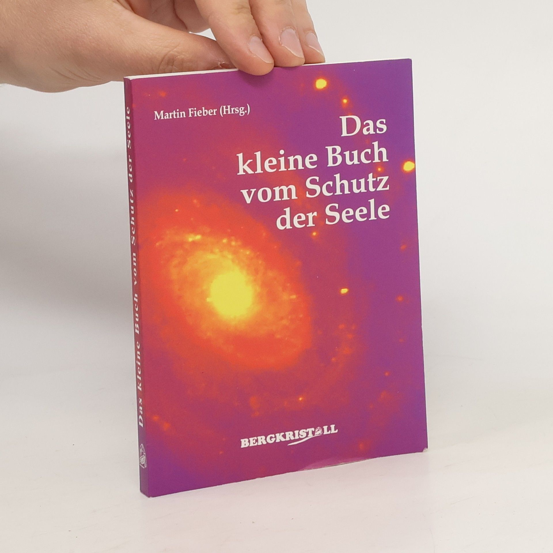 Martin Fieber Das kleine Buch vom Schutz der Seele
