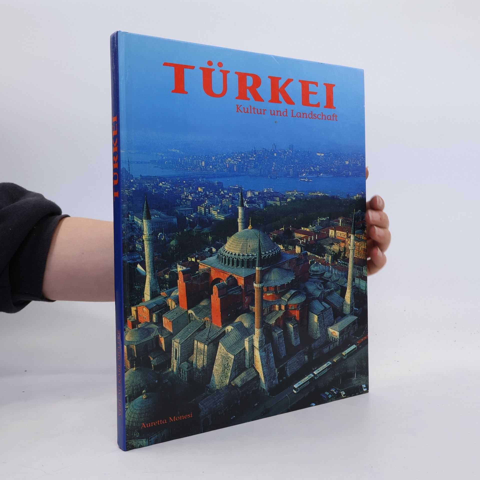Auretta Monesi Türkei