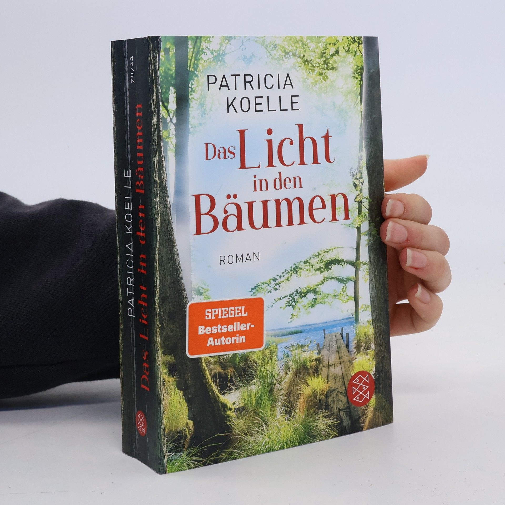 Patricia Koelle Das Licht in den Bäumen