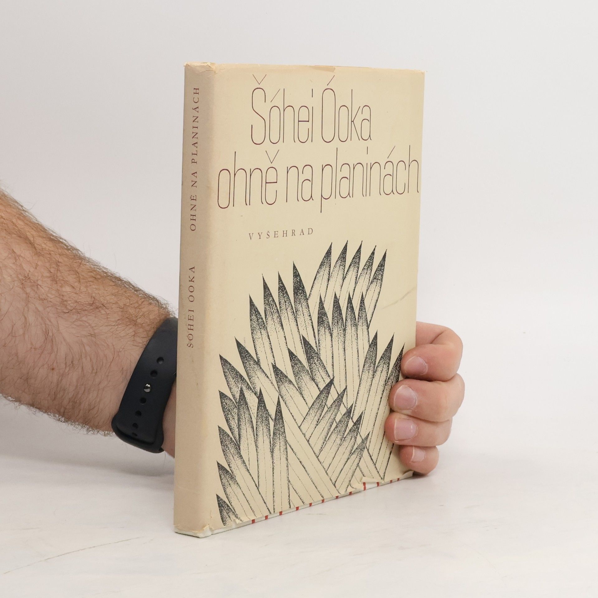 Shōhei Ōoka Ohně na planinách