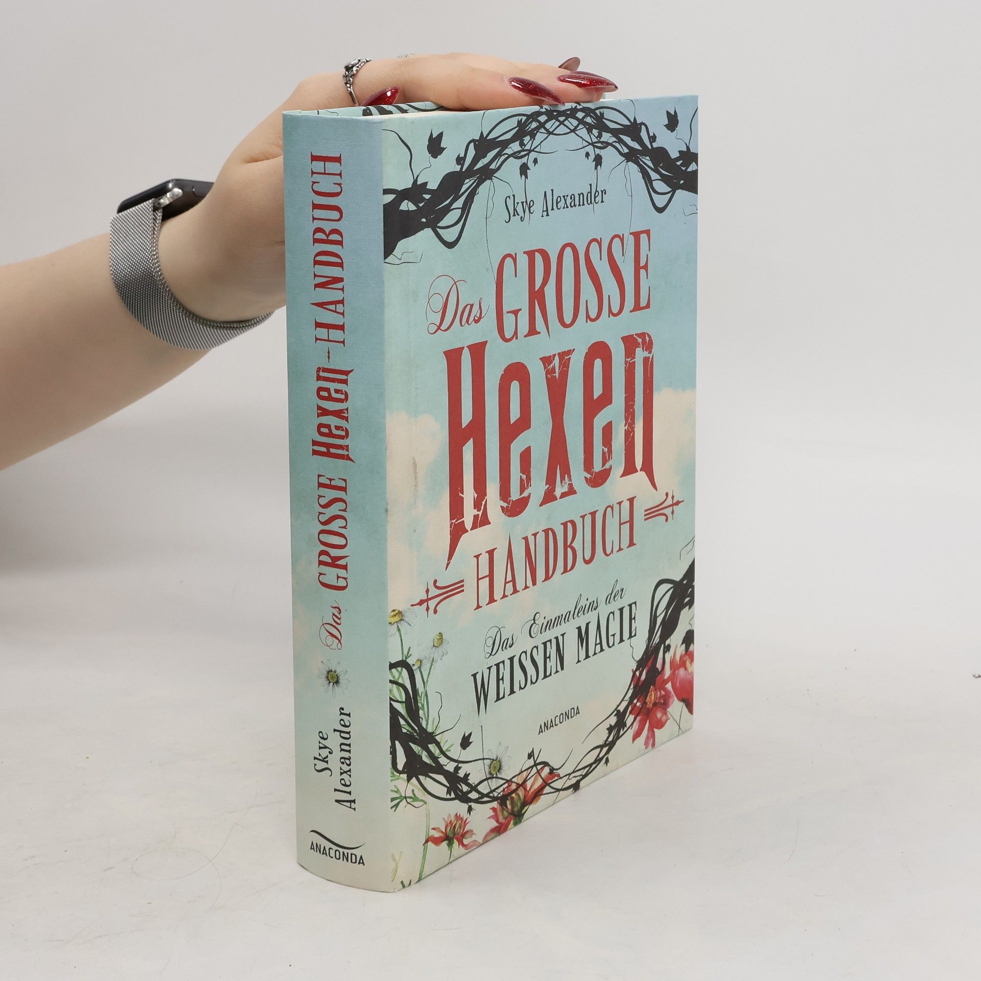 Skye Alexander Das große Hexen-Handbuch