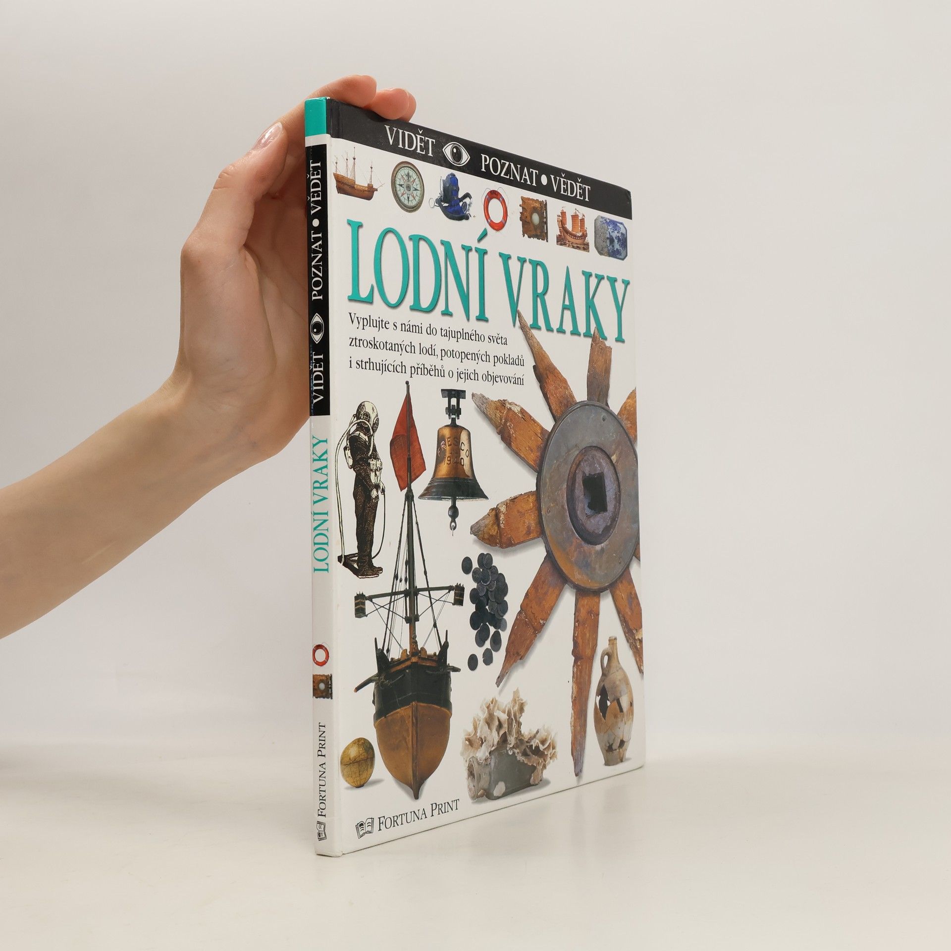 Richard Platt Lodní vraky