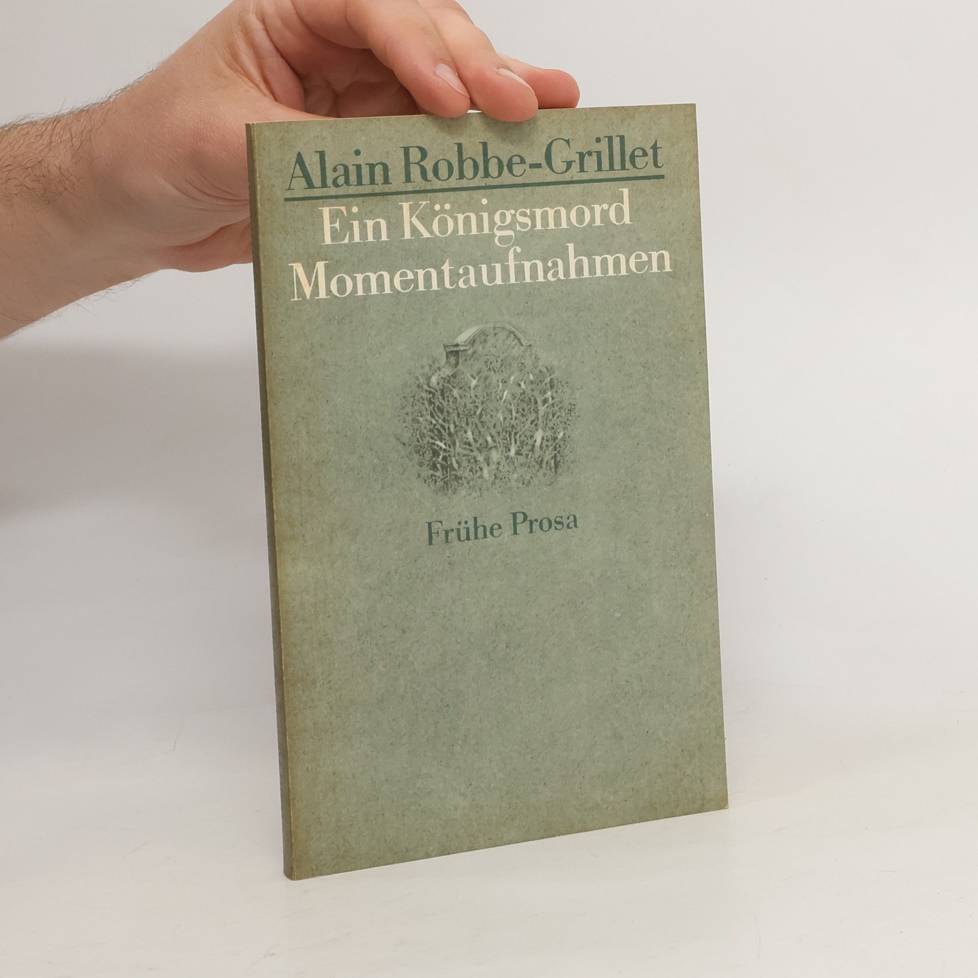 Alain Robbe-Grillet Ein Königsmord